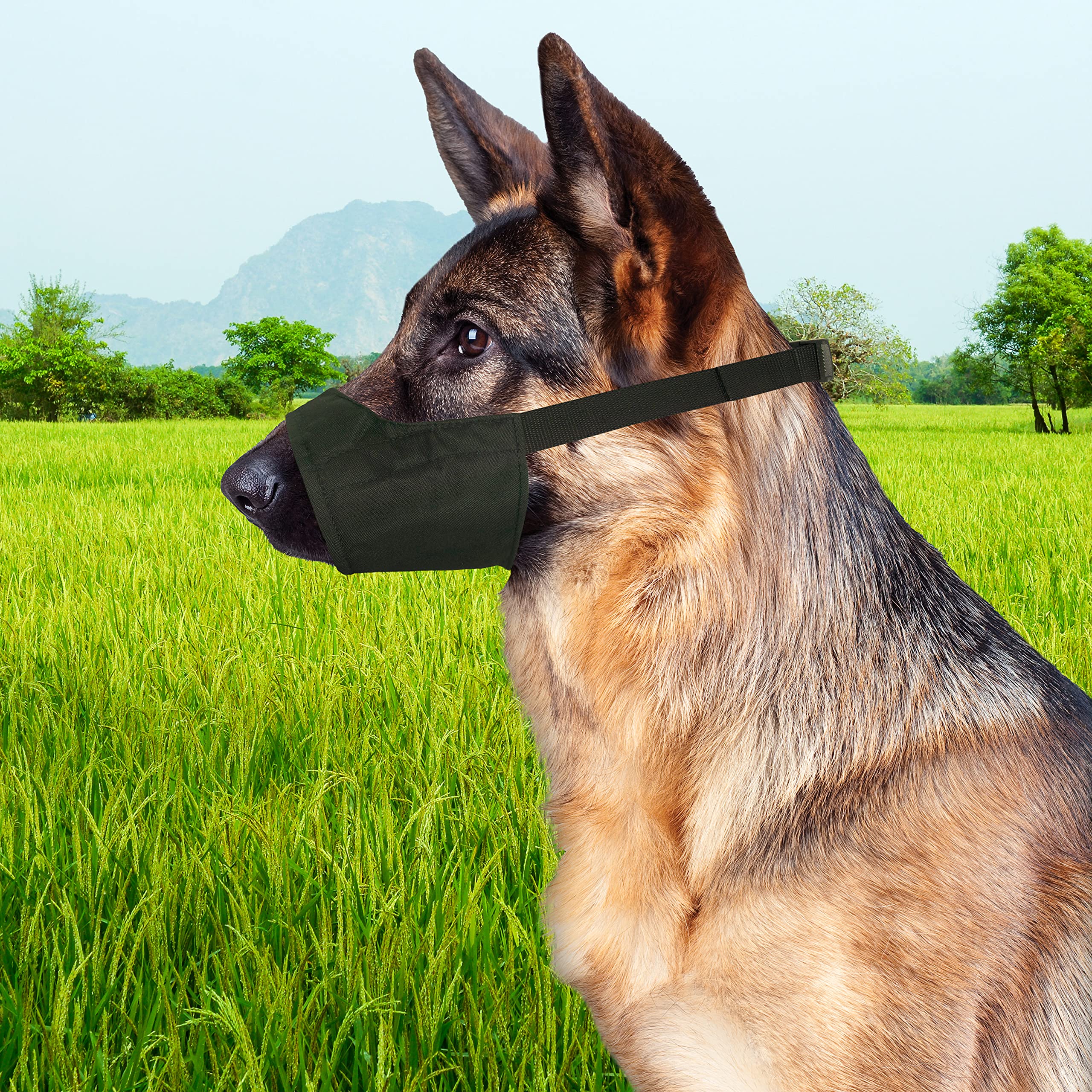 Four Paws Walk-About Quick-Fit Dog Muzzle 3 - Medium