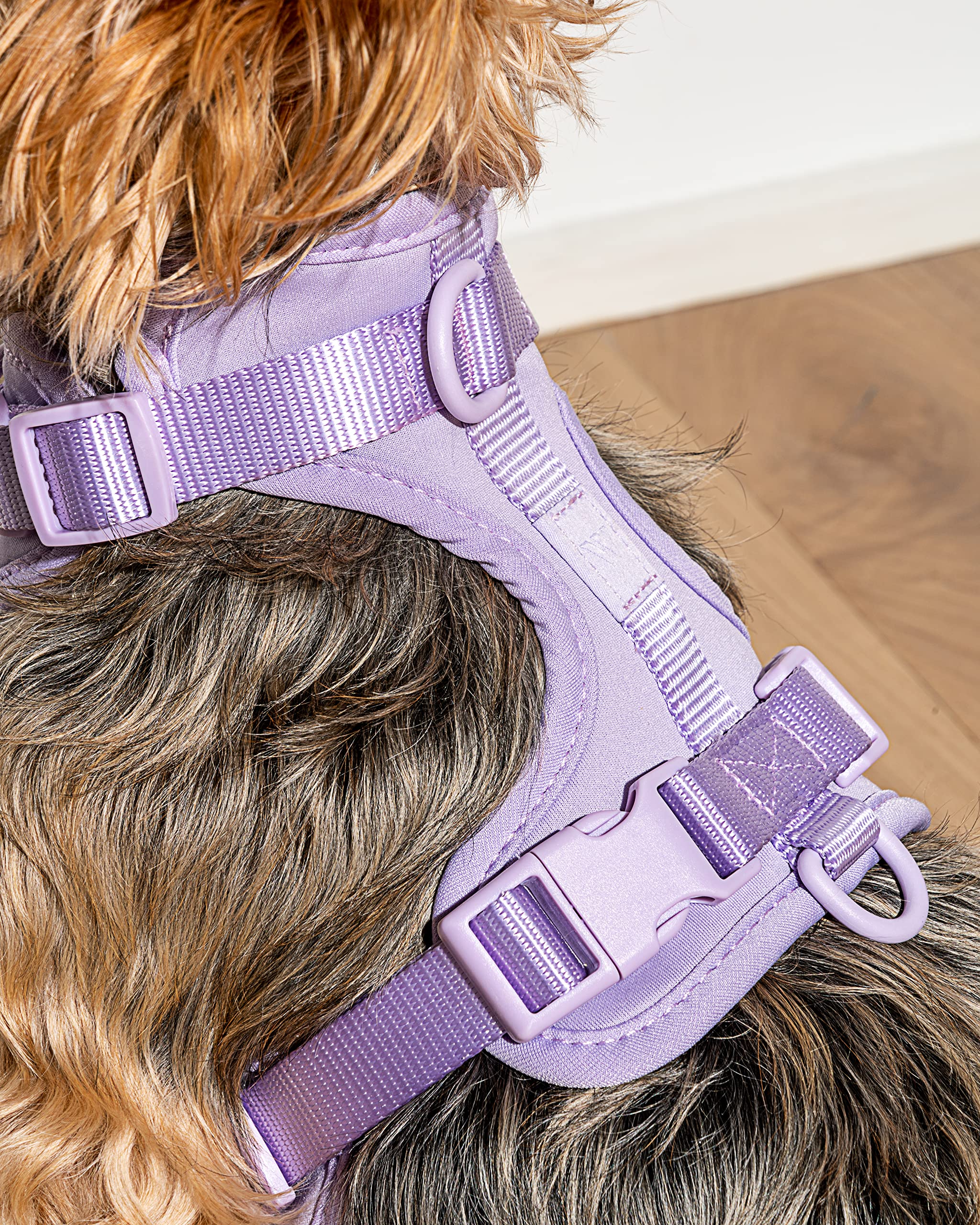Wild One Harness 2.0 - Small - Lilac