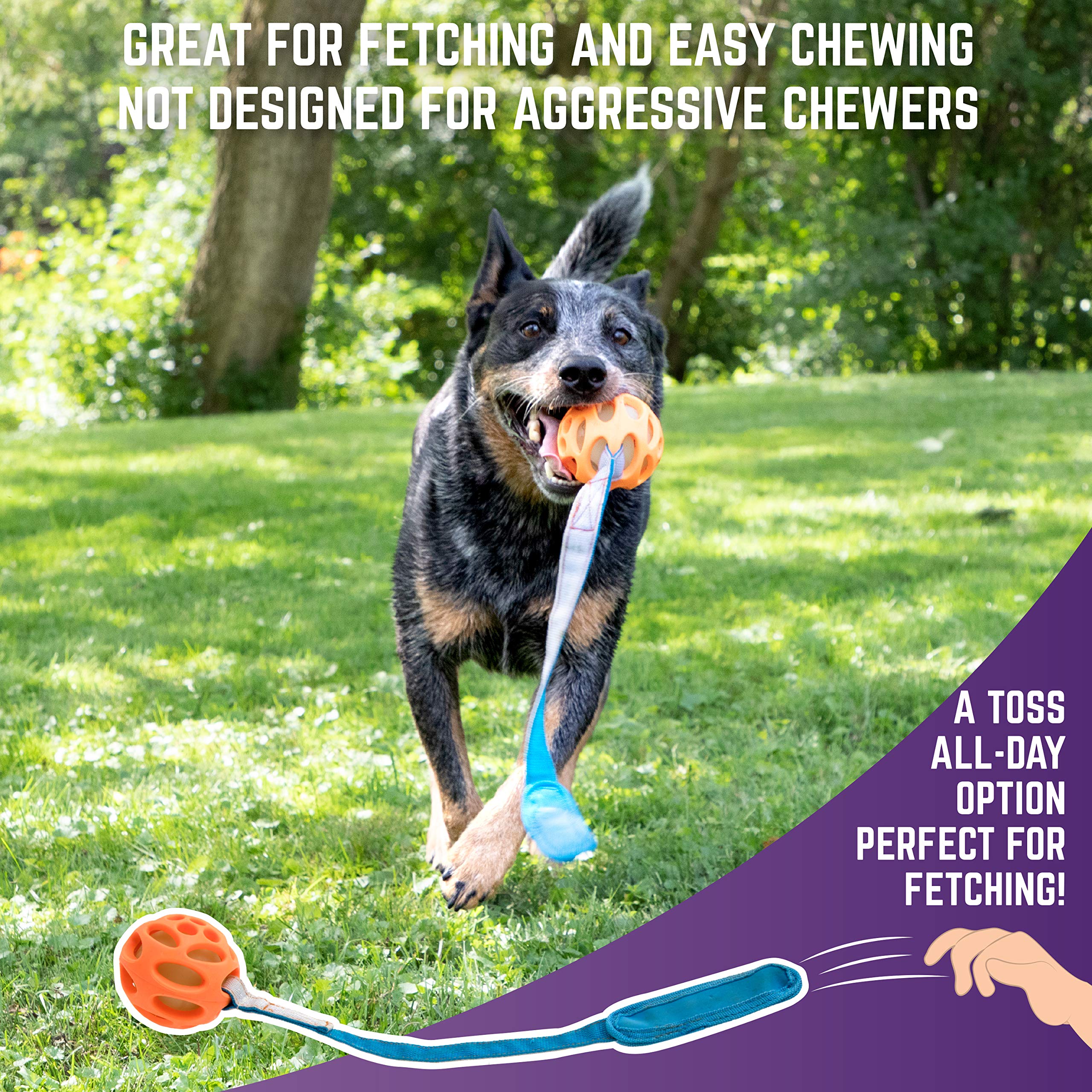 Chew King Ball Launcher - 2.5' Balls, Ball Launcher - 3' Balls, Medley 3Pk/2.75', Medley 3Pk/3.25', Small Float And Glow Flyer, Large Float And Glow Flyer