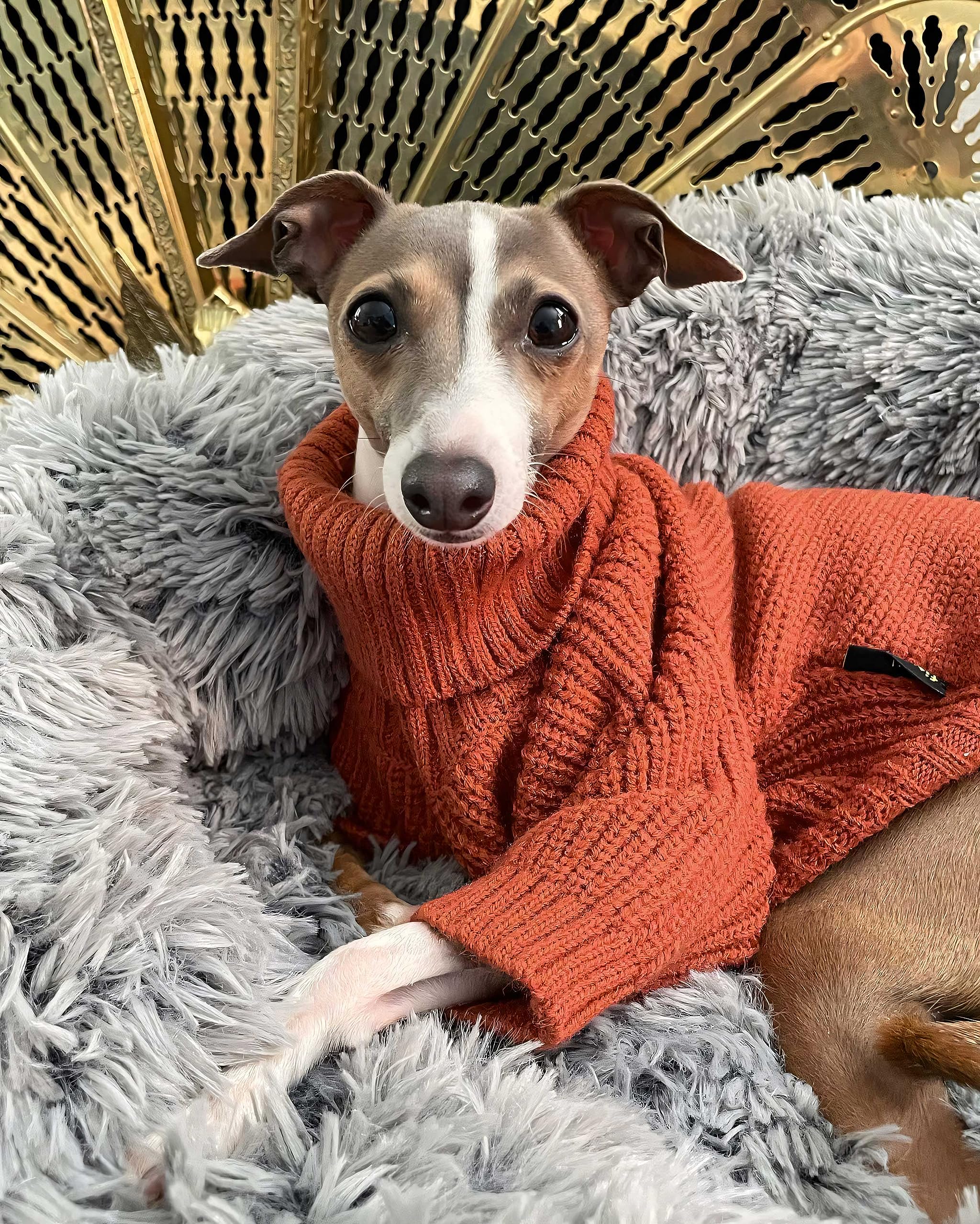 Fitwarm Thermal Knitted Dog Sweater Doggy Winter Coat Pet Clothes Doggie Turtleneck Jacket Puppy Outfits Cat Sweatsuit Red Xx-Large
