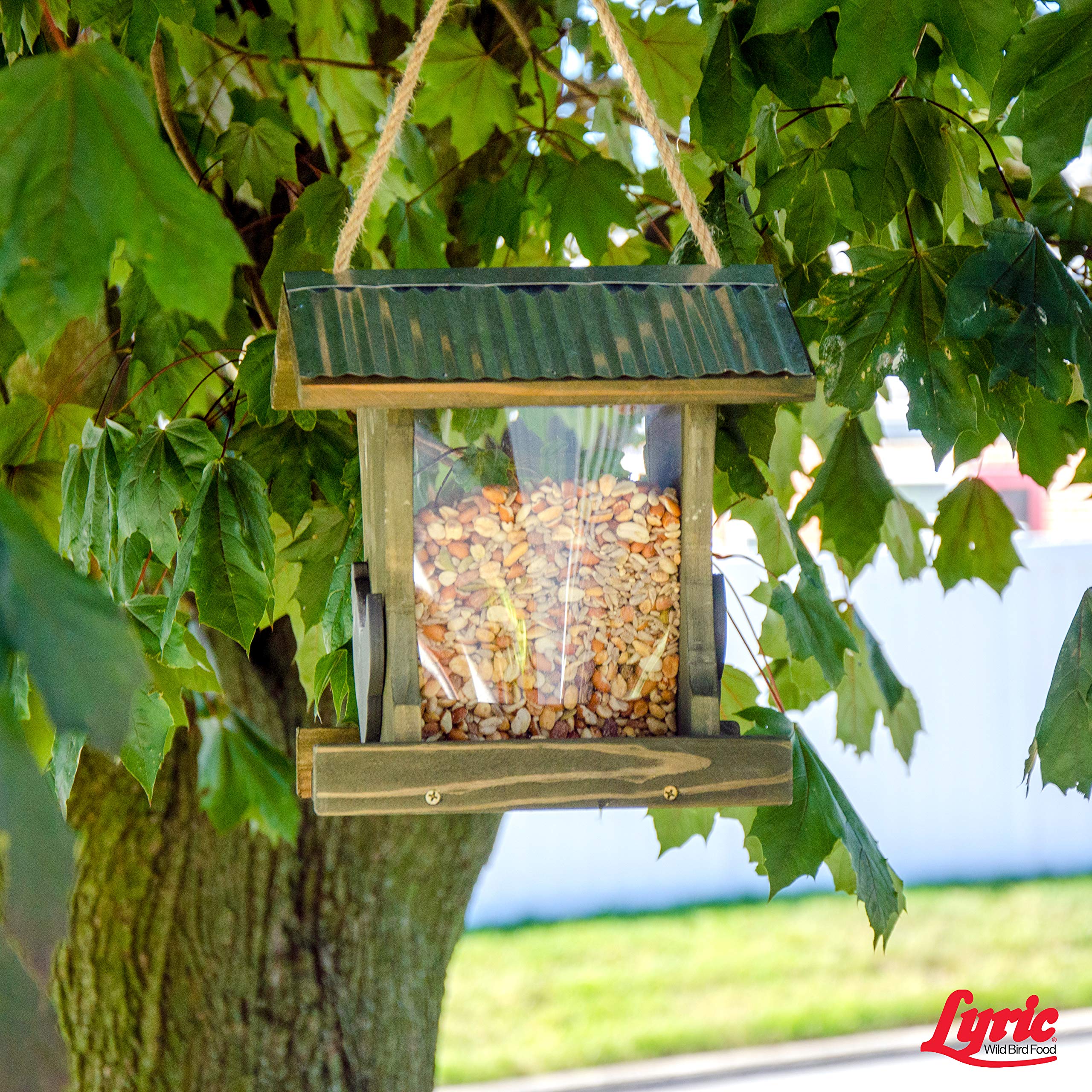 Lyric Delite Wild Bird Seed - No Waste Bird Food Mix with Shell-Free Nuts & Seeds - Attracts Buntings, Chickadees & Finches - 20