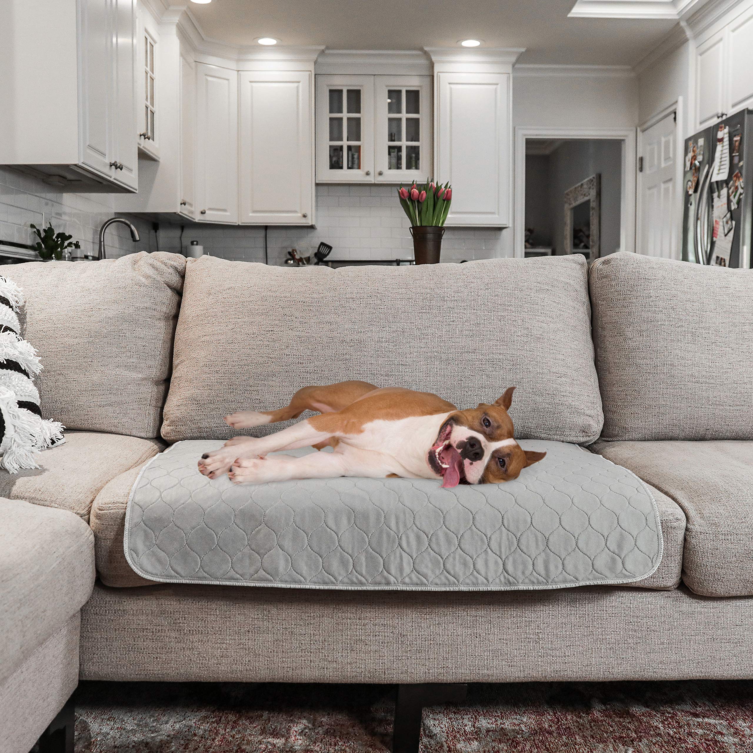 Rocket & Rex Washable Pee Pads For Dogs | Reusable Puppy Pads And Piddle Pads For Dogs | Waterproof, Absorbent, Easy Cleanup | Tons Of Uses In Home | Reduces Waste | Small - Medium Breeds