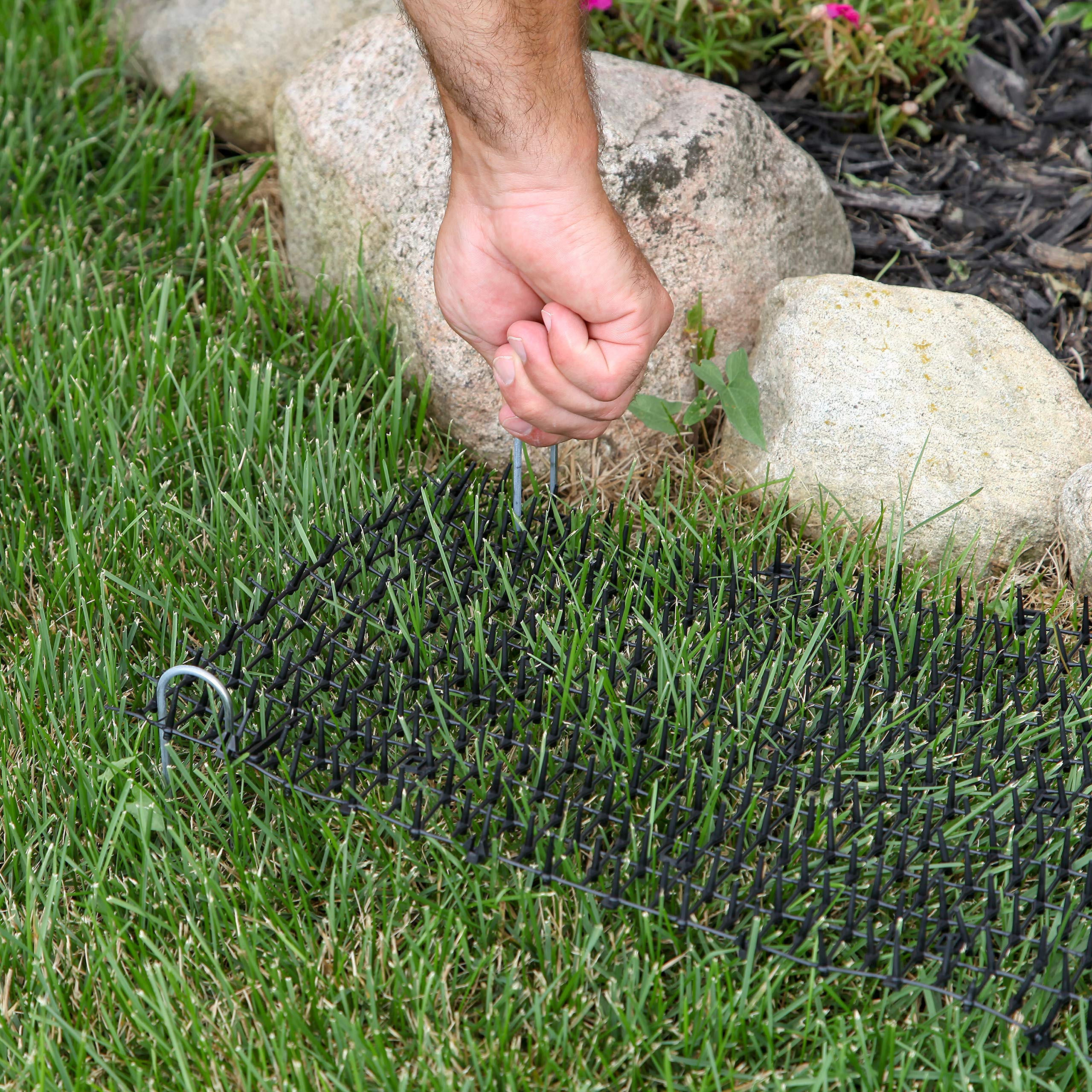 Tapix Cat Scat Mat With Spikes Digging Stopper (8 Ft.) Anti-Cat Network Cat Strips, Cat Deterrent Mat For Indoor And Outdoor With 6 Staples