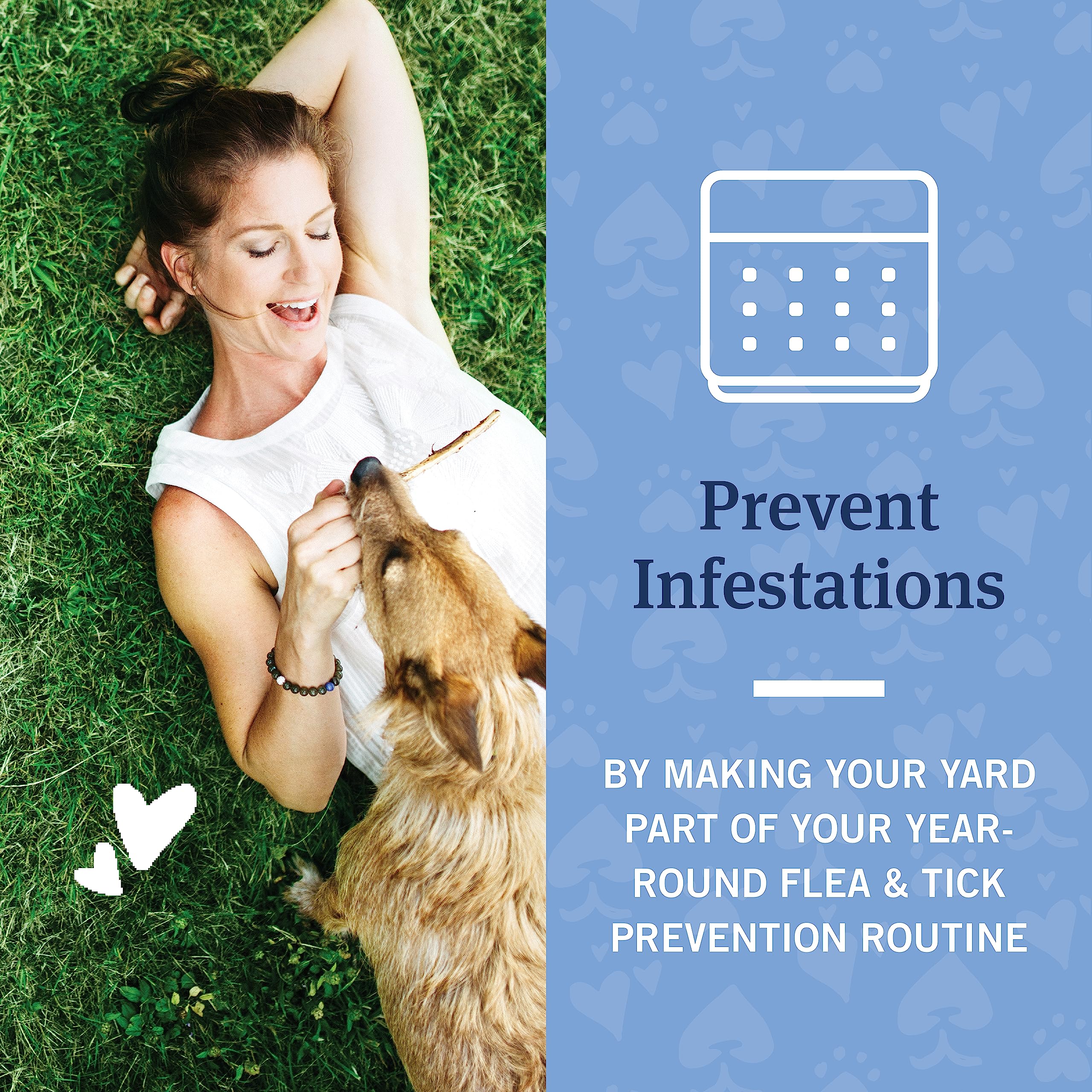 PetArmor Home Yard Spray for Dogs, 32oz - Kills Fleas, Ticks, Mosquitoes & Ants, Clear Formula, Protects Your Home & Pets