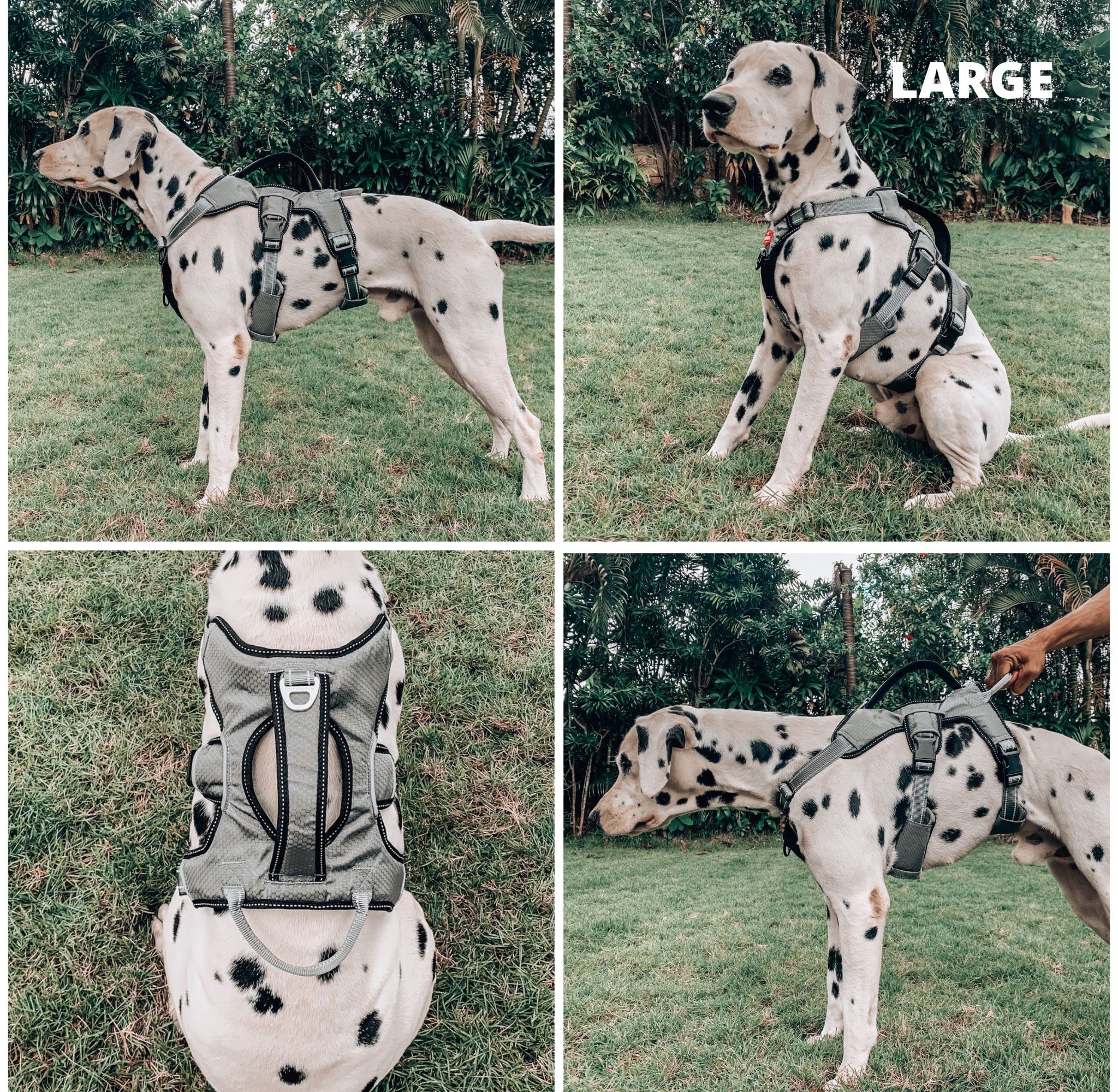 Tuff Pupper Updated For 2024 - Tracker No Escape Dog Harness | Dual Escape Proof Leash Attachments | 5 Point Adjustable Fit Harn