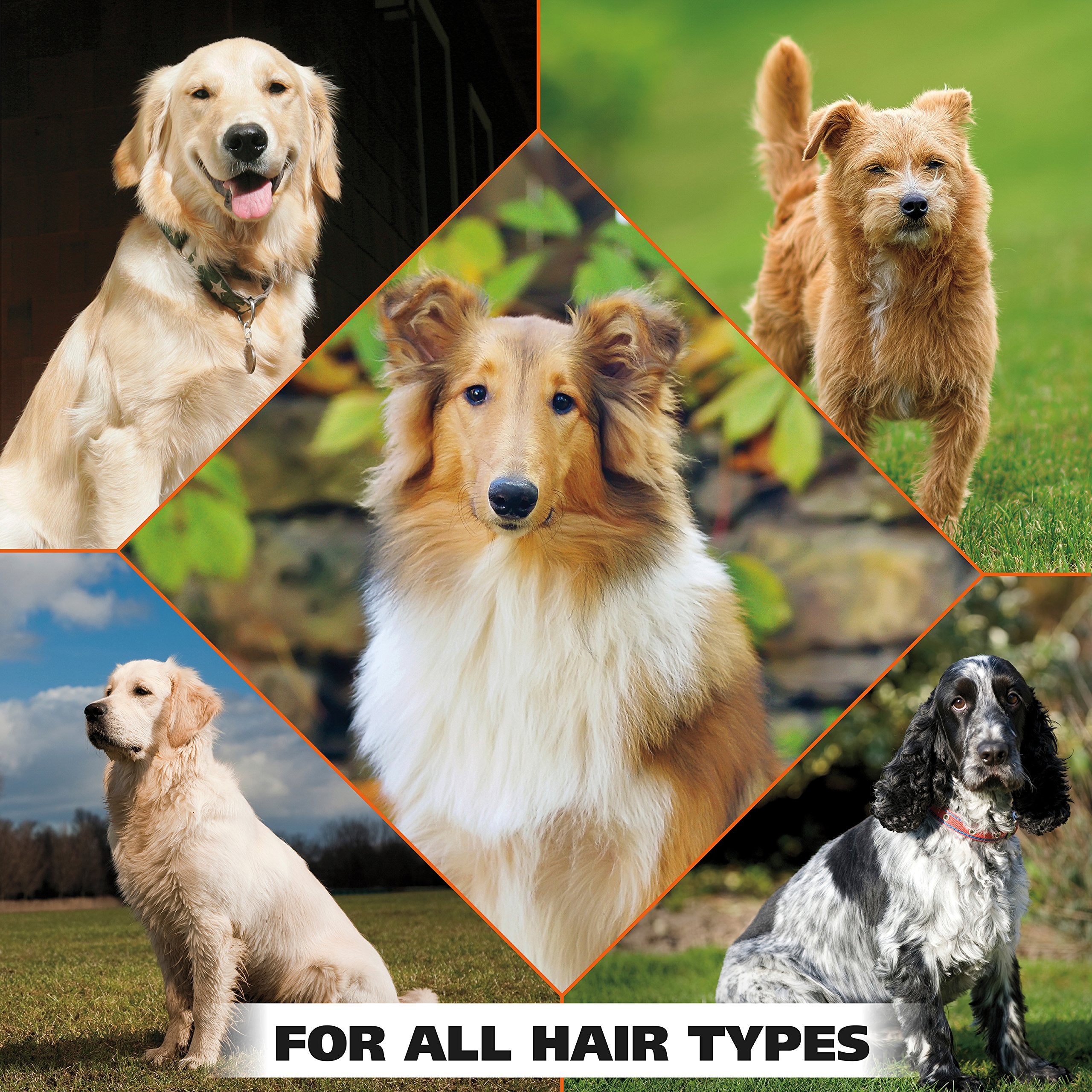 Wahl Usa Pet Refresh Cleaning Wipes For All Dog Breeds - Use On Ears, Nose, Paws, Bottom, & Sensitive Areas - 50 Wipes - Model 820017A