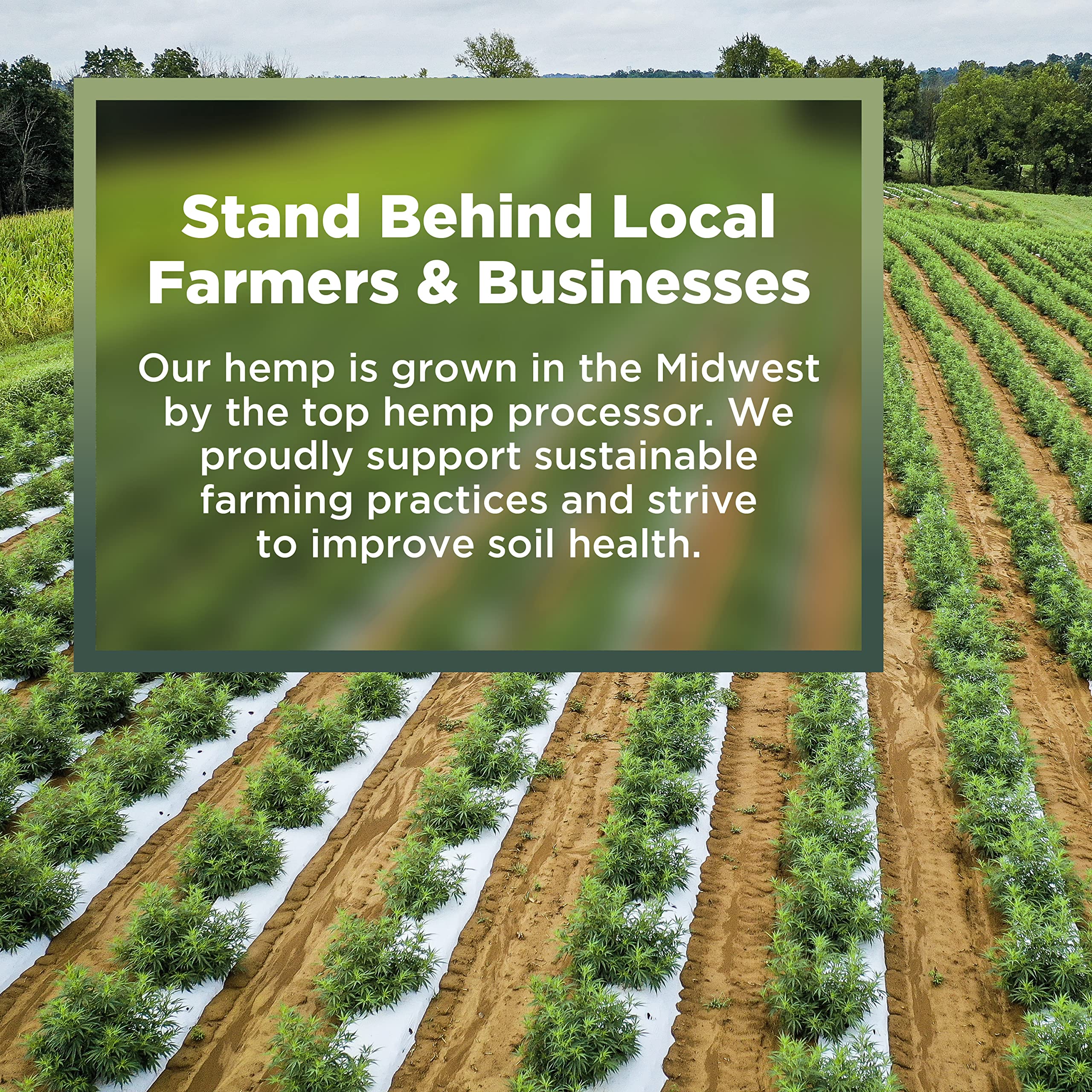 Hemp Animal Bedding 5 Lbs = 25.5 Liters of Natural Ground Hurds - Super Absorbent- DUST Free- for Your Horse, Chicken, Rabbit, R