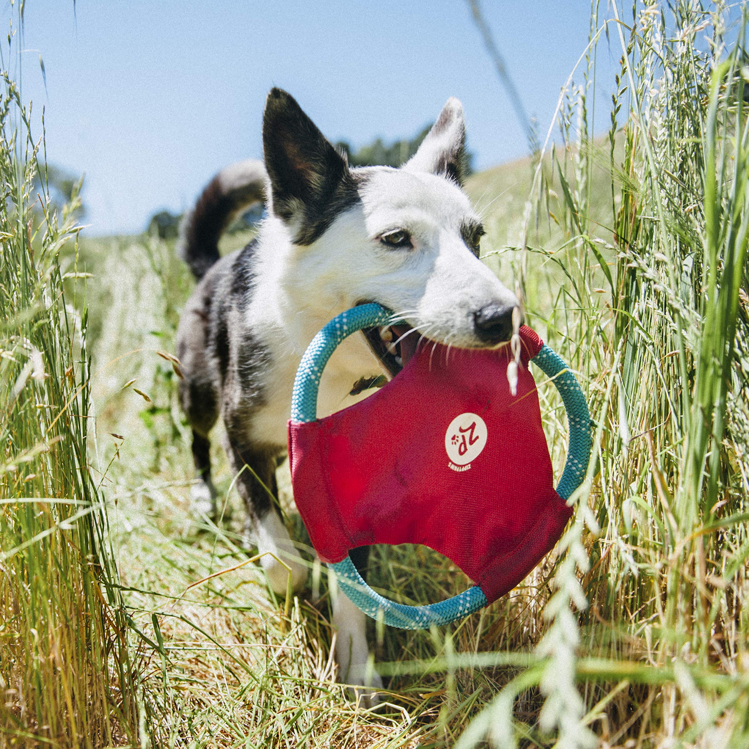 Zippypaws Rope Gliderz Dog Toy, Soft Frisbee With Durable Rope For Tugging And Chewing, Magenta