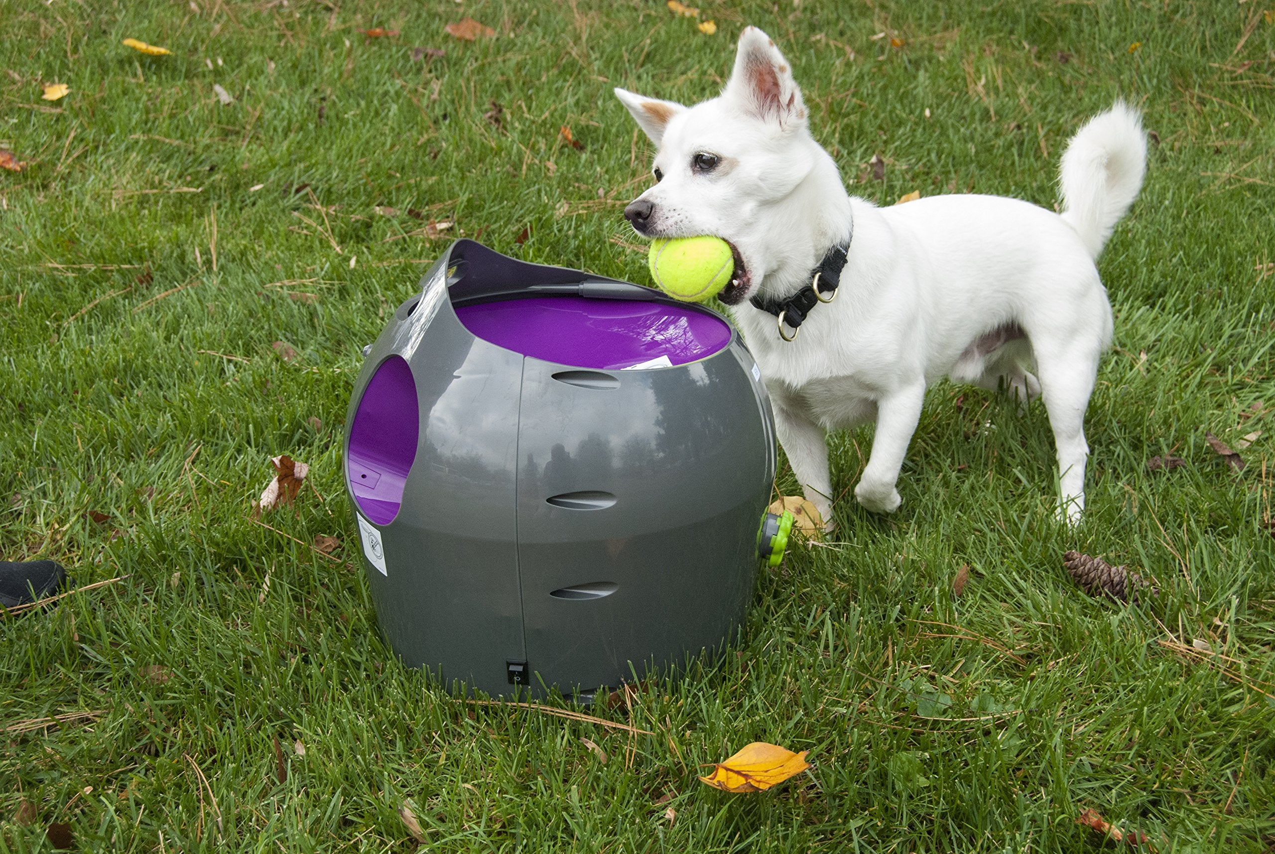 Petsafe Automatic Dog Ball Launcher All Breed Sizes