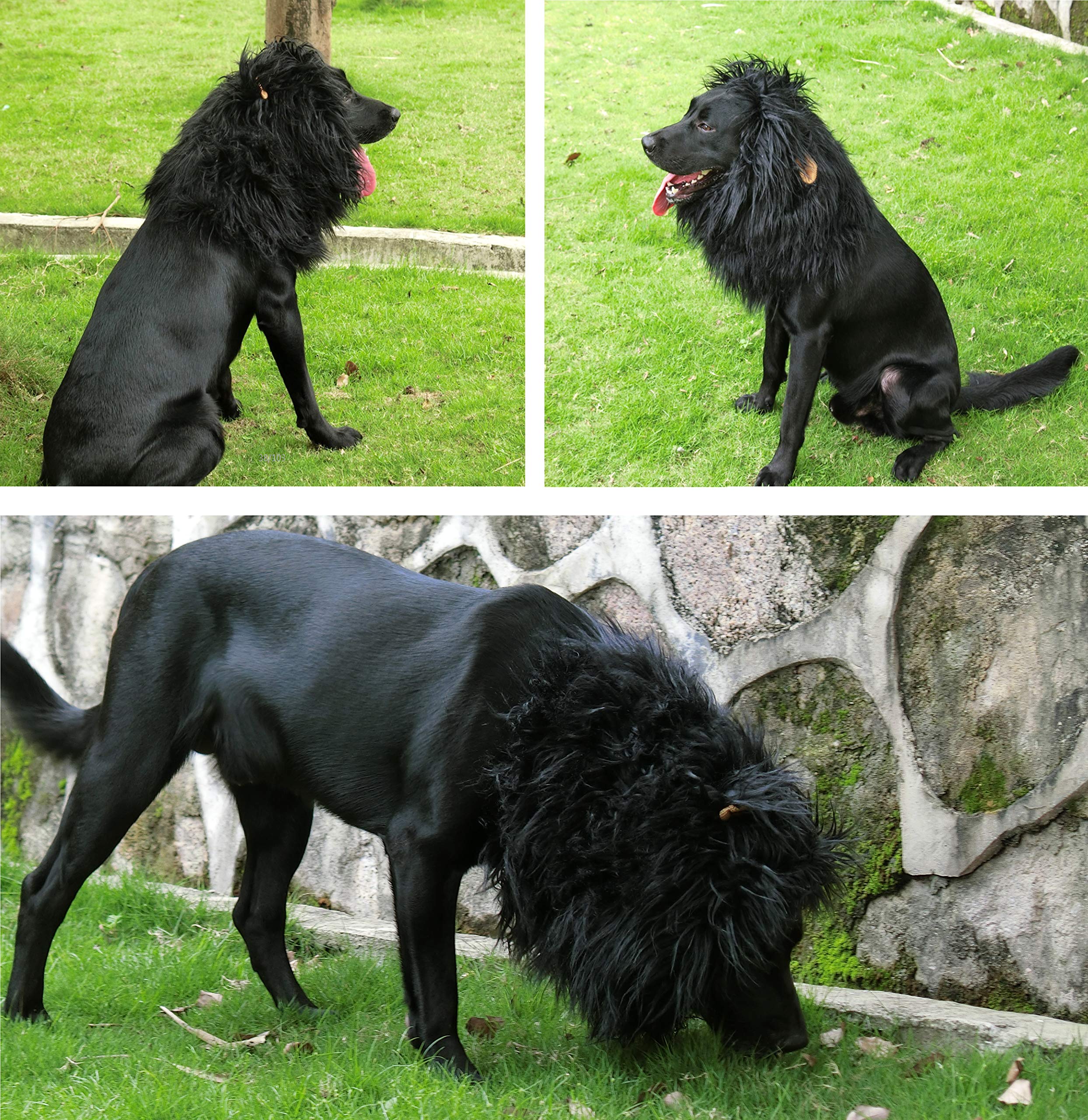 Onmygogo Lion Mane Wig For Dogs With Ears, Funny Pet Costumes For Halloween Christmas (Size M, Black)