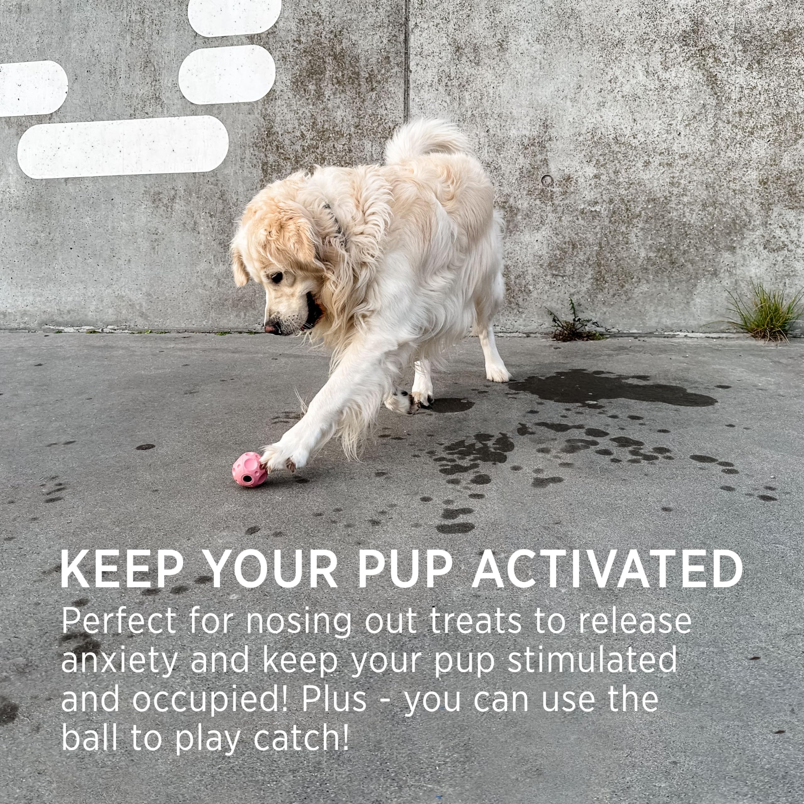 Hevea Moon Ball Activity Toy For Dogs. The Ball For Dogs Is Made From Non-Toxic, Pvc-Free, Bpa-Free Natural Rubber. 2.55'' (Natu