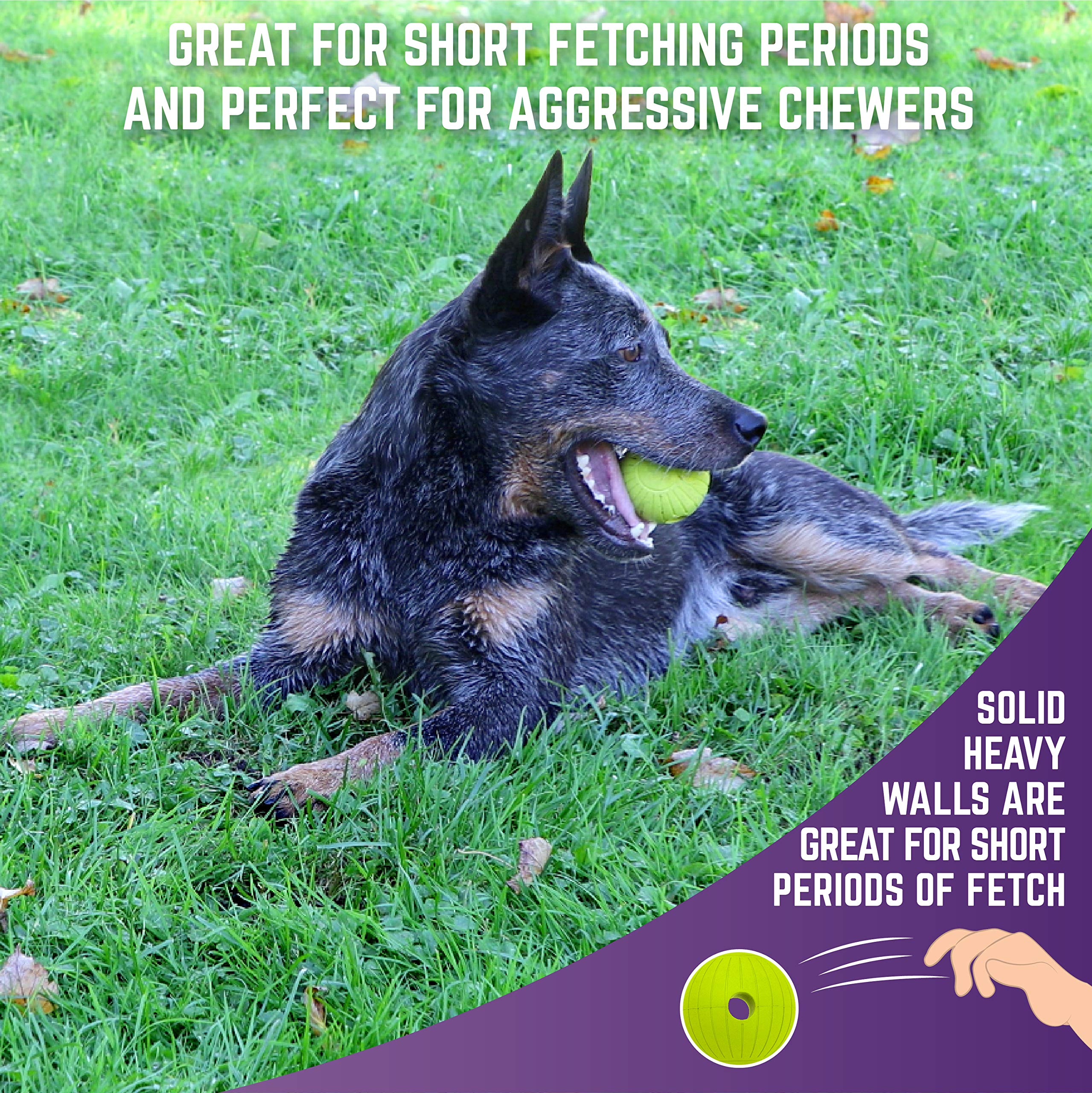 Chew King Supreme Rubber Fetch Balls - Extremely Durable Natural Rubber Toy, 2.5 Inch, Yellow (Cm-10066-Cs01), 2.5'' (Medium)