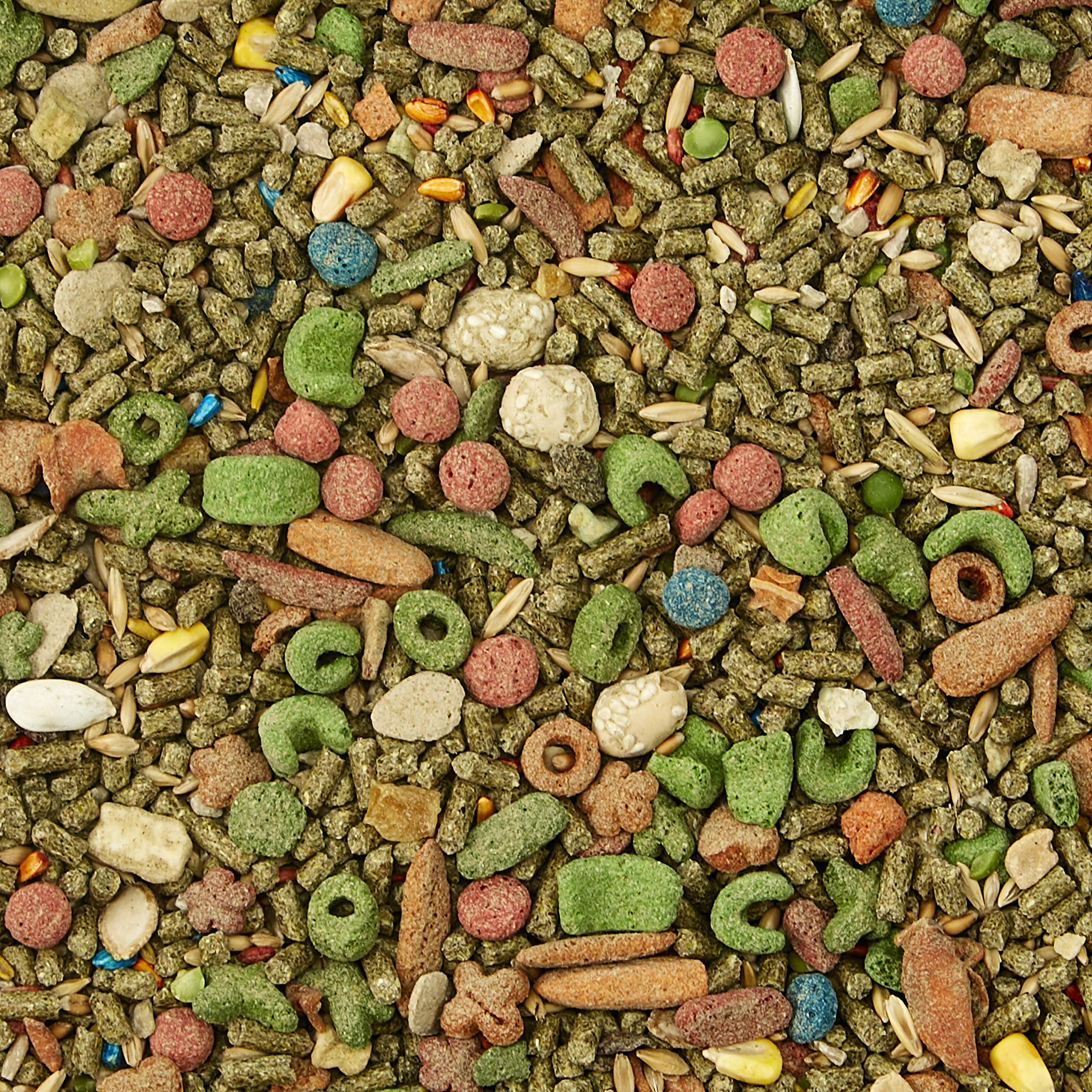 Kaytee Fiesta Pet Guinea Pig Food, 4.5 Pound