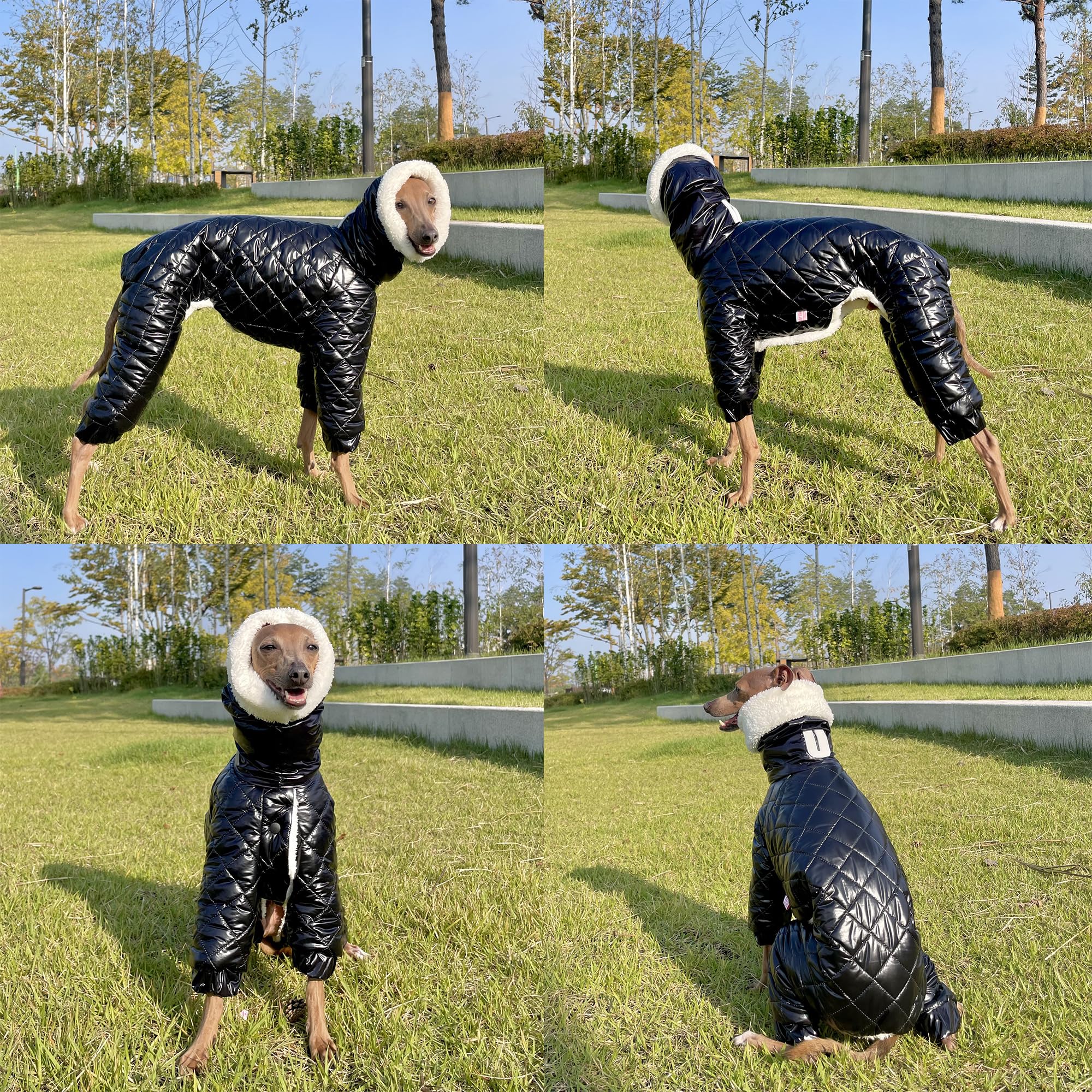 D Doggy Star Italian Greyhound Snowsuit Winter Thick Padded Coat Warm Outfits Jacket Turtleneck Clothes Whippet For Dog (Xl,Snow