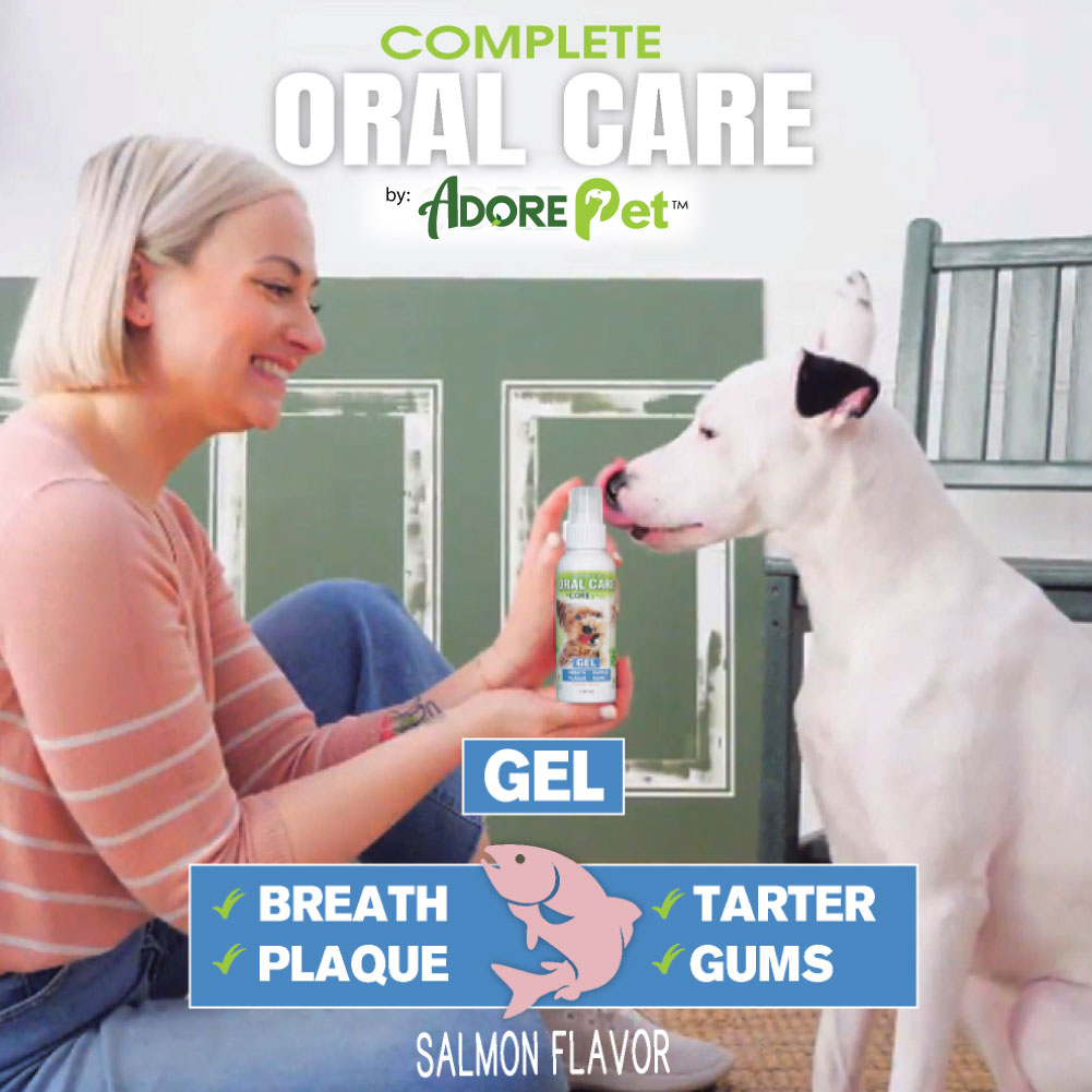 Oral Care Gel - Salmon