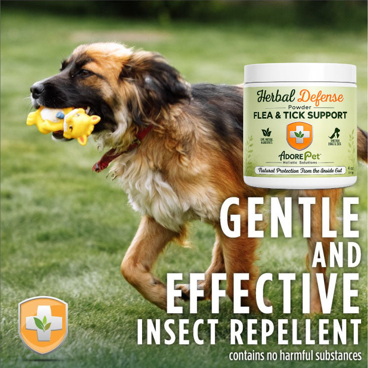 Herbal Defense Powder
