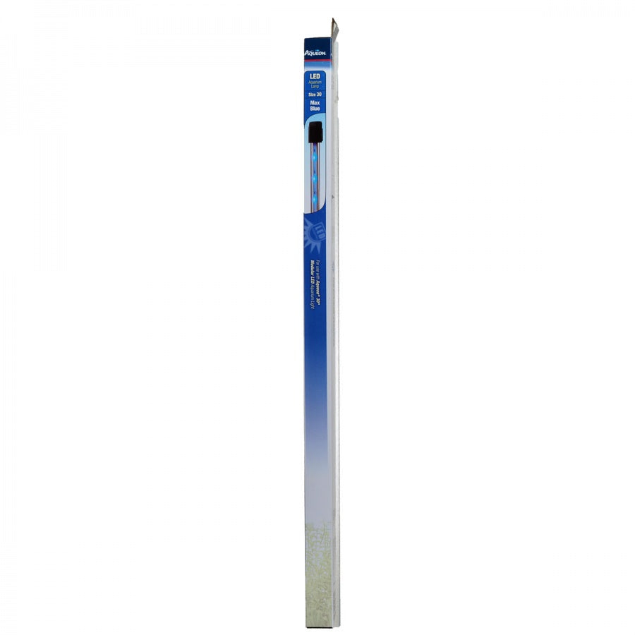 Au Lamp Max Blue Led 30I