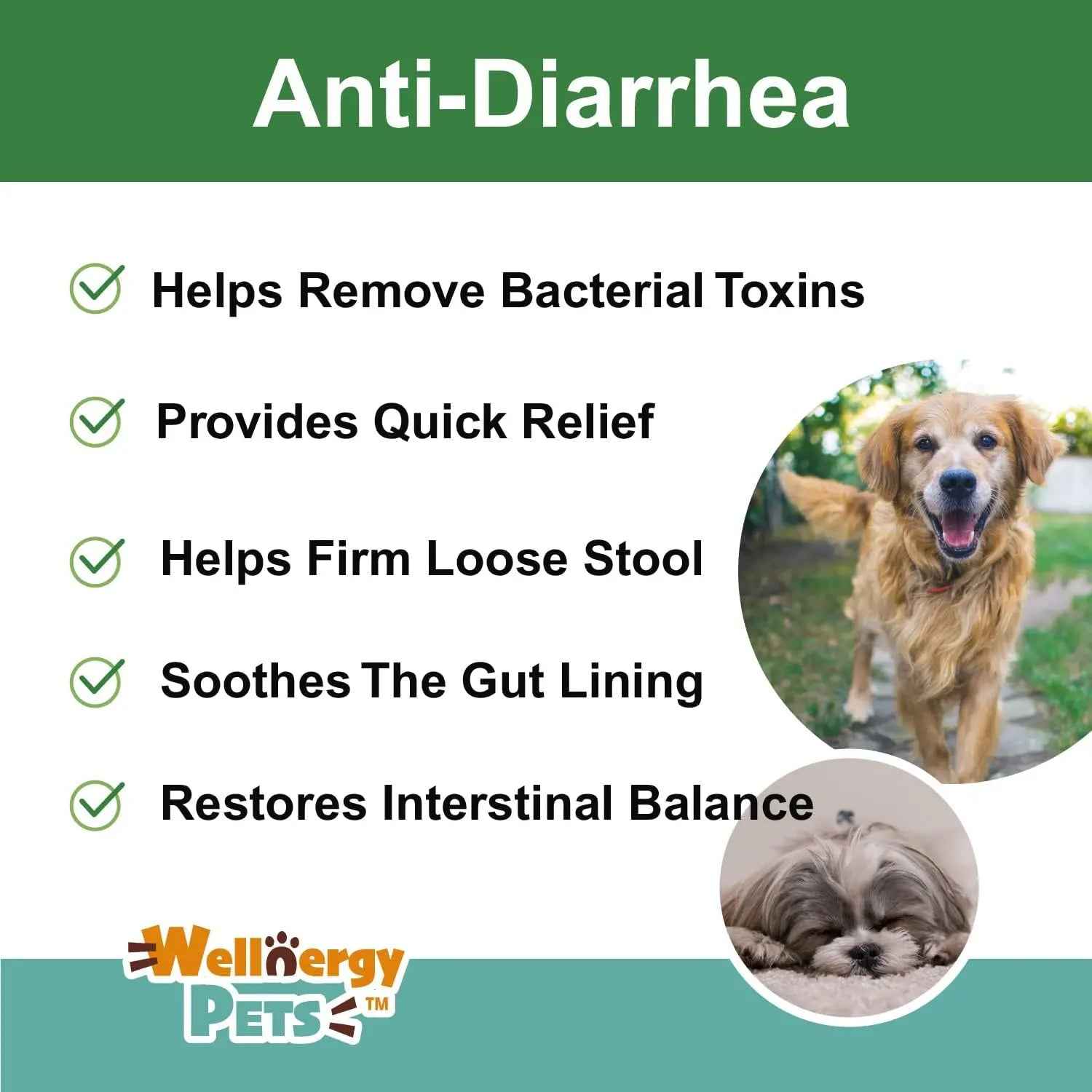 Anti Diarrhea Liquid for Dogs - Dog Diarrhea Relief with Kaolin (4 Oz.)