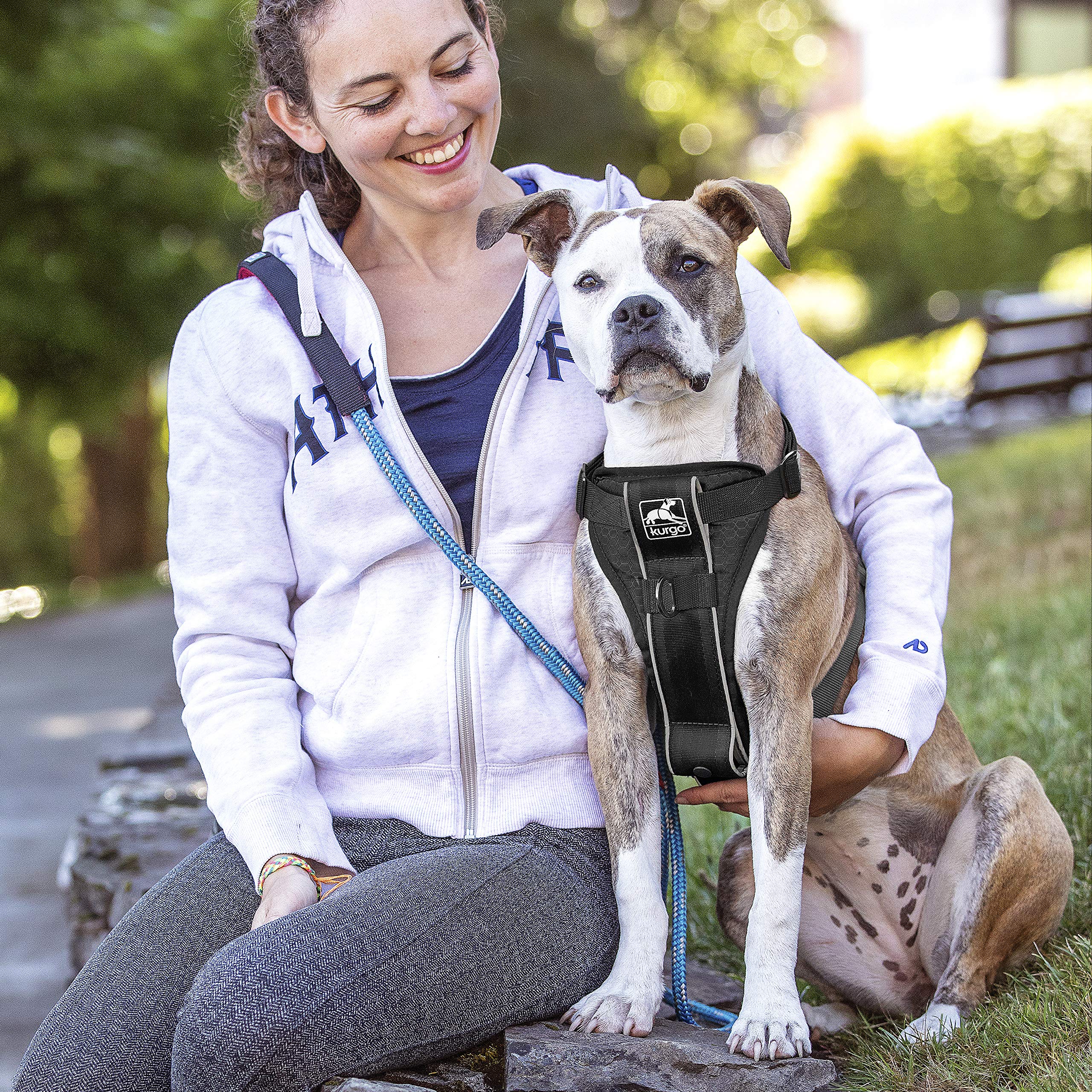 Kurgo Tru-Fit Smart Harness, Dog Harness, Pet Walking Harness, Quick Release Buckles, Front D-Ring For No Pull Training, Includes Dog Seat Belt Tether (Black, Large)