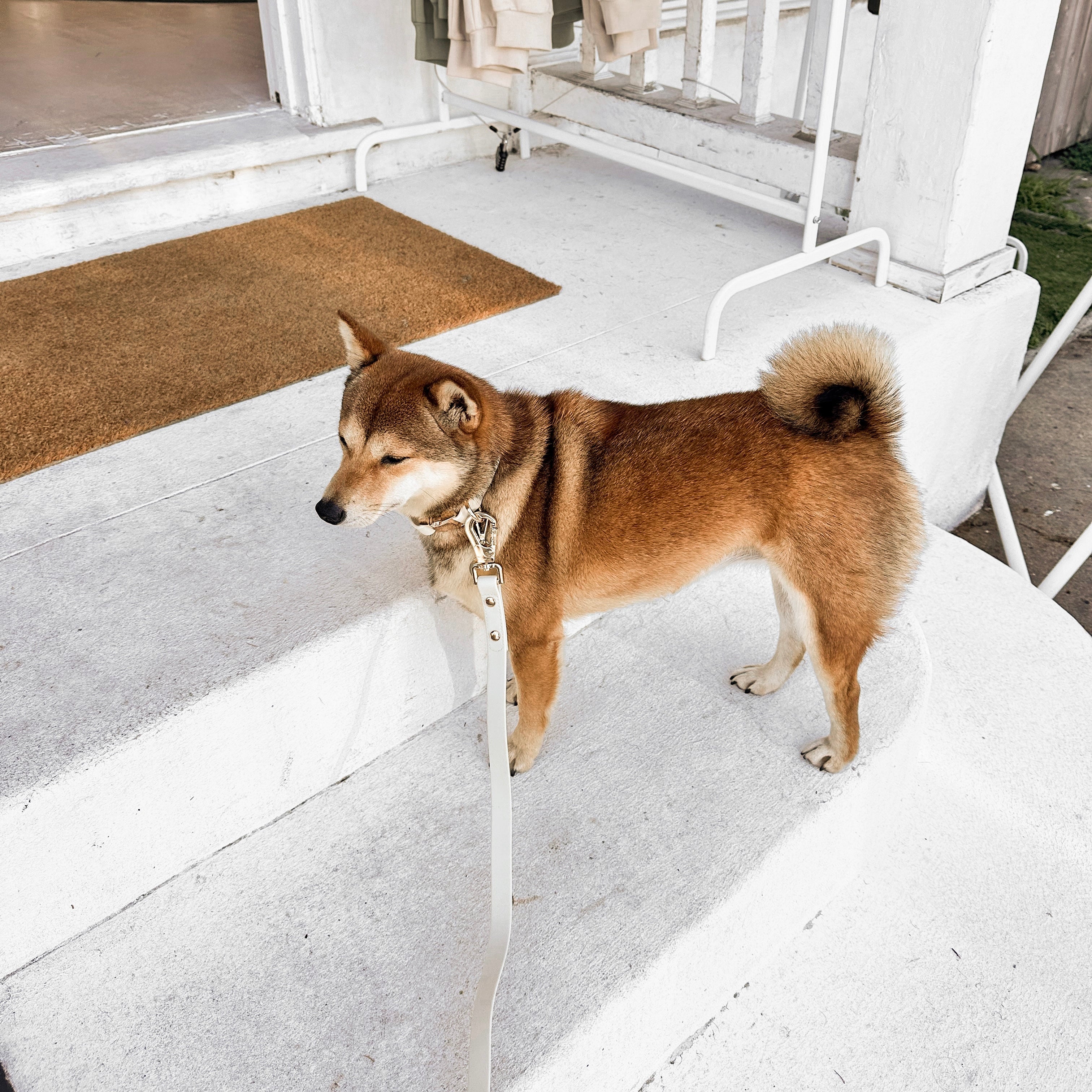 The Essentials Walk Set - Bone