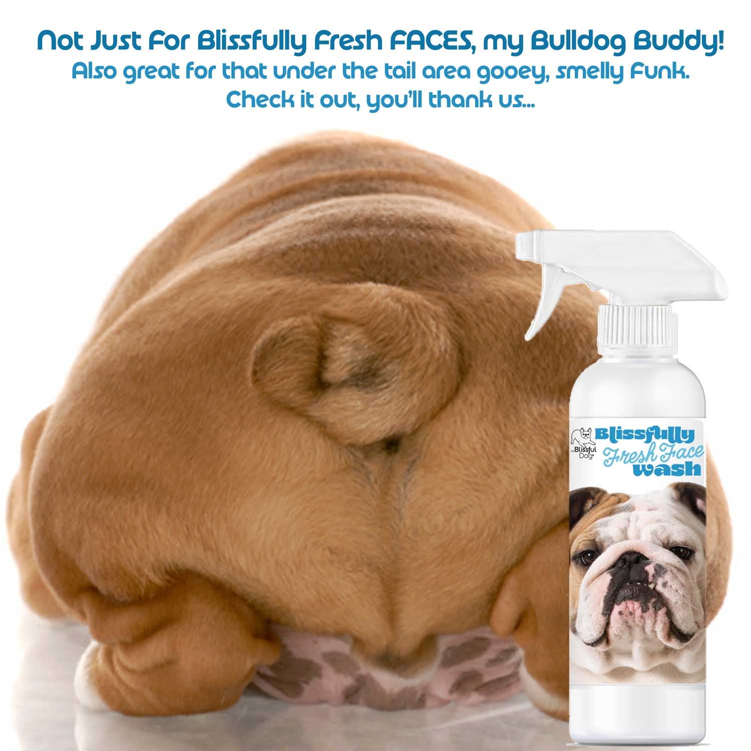 Bulldog Blissfully Fresh Face Wash