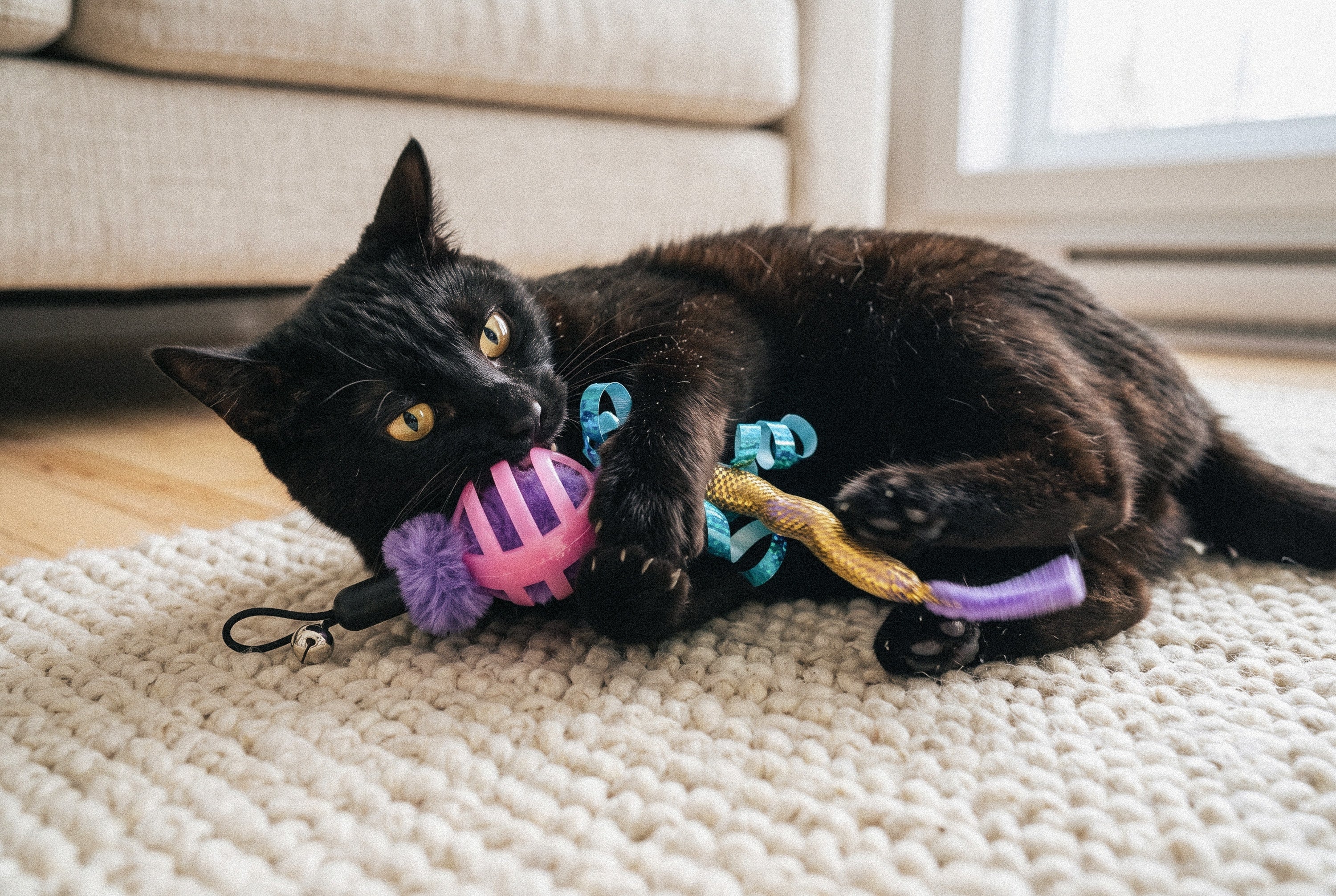 Cat Oral Care Floss & Treat Toothbrush Toy