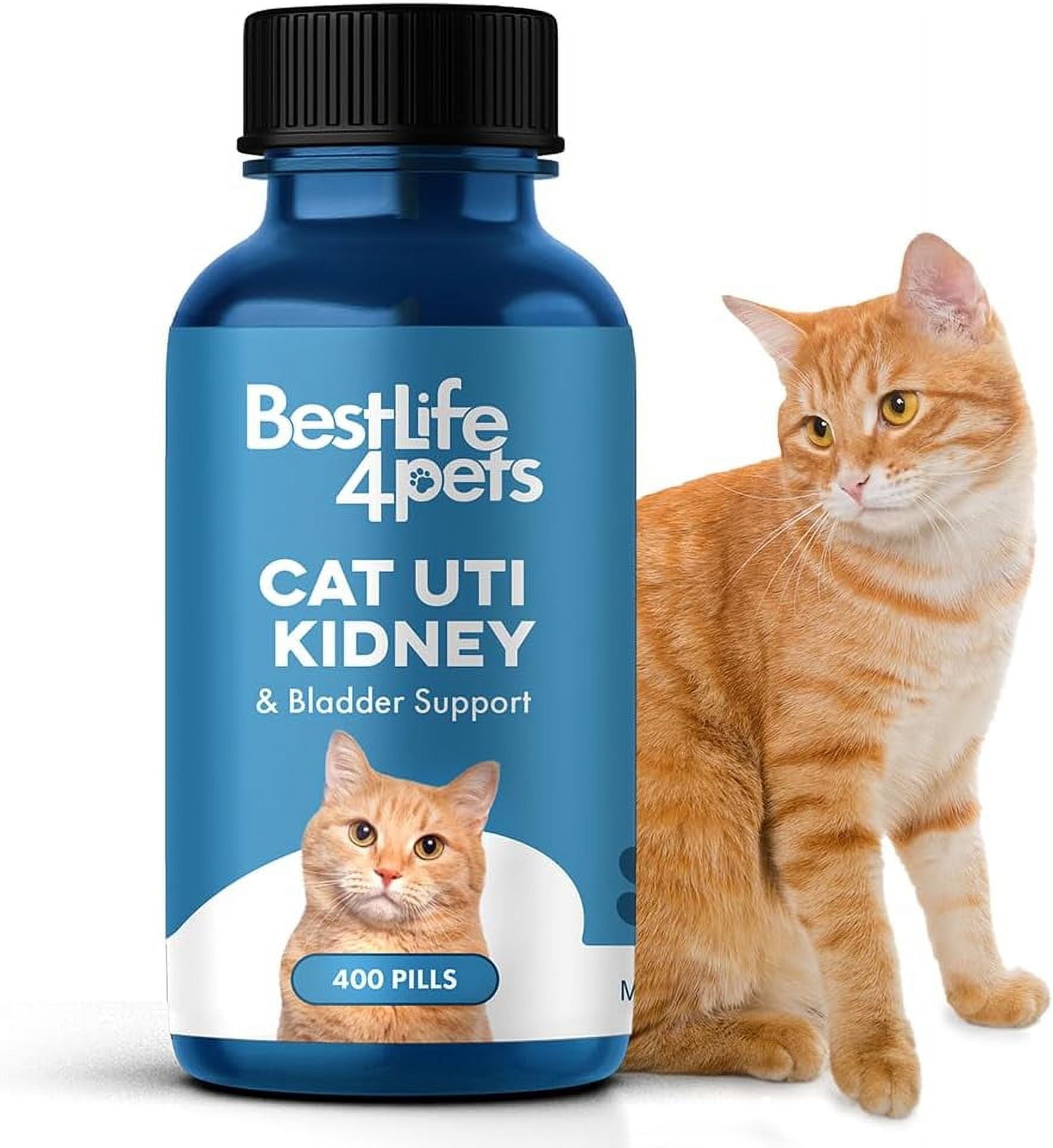 Bestlife4Pets, Cat Uti, Kidney & Bladder Support - All Natural Medicine To Stop Frequent Urination - Cats Renal Health And Bladd