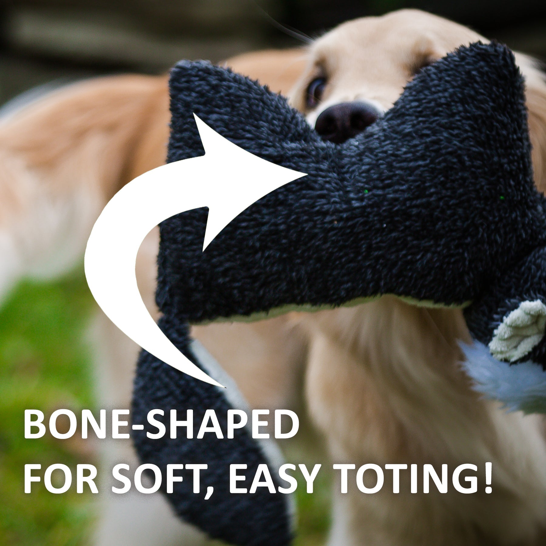 Squooshie™ Fox Plush Dog Toy