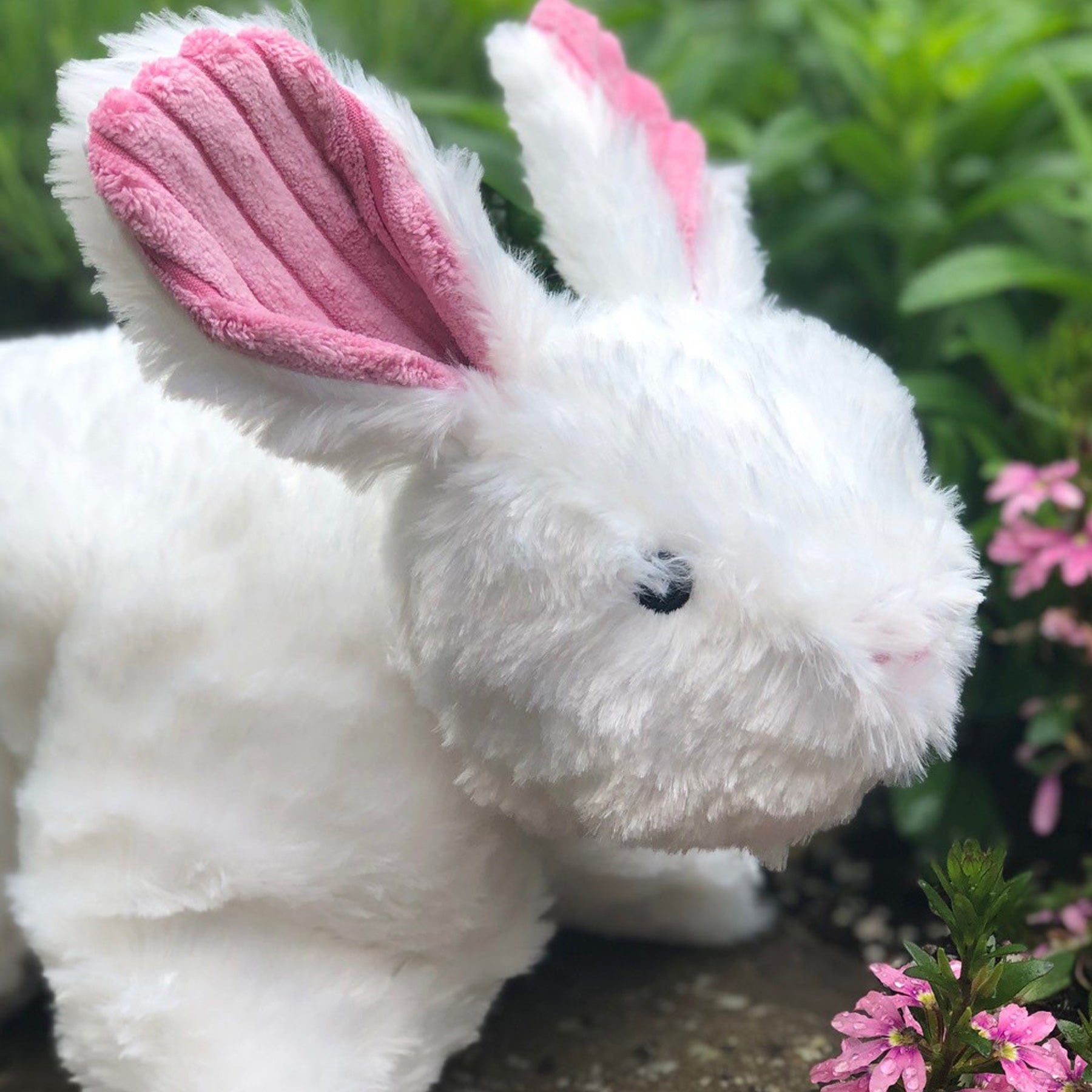 Squooshie™ Bunny Plush Dog Toy