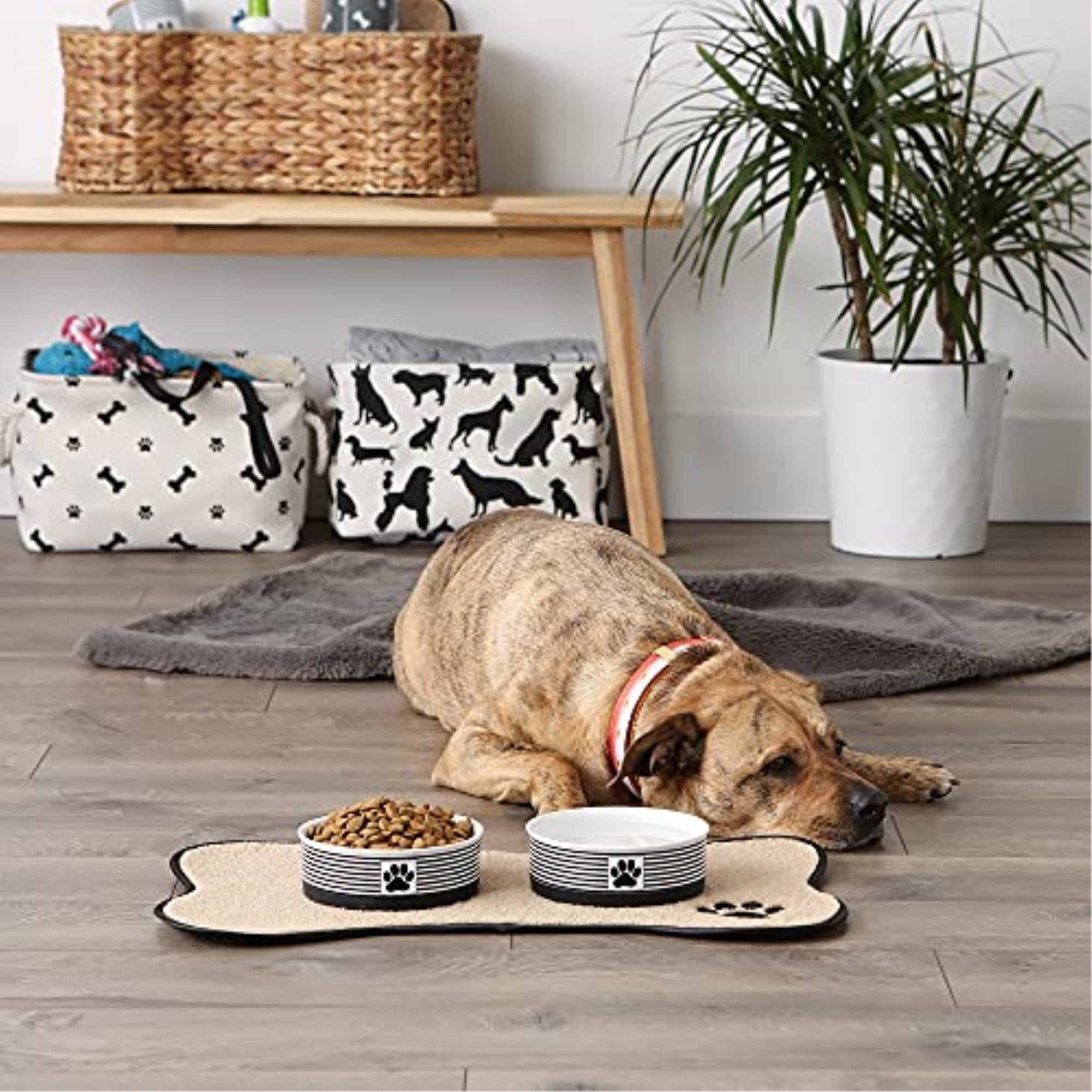 DII Pet Bowl Paw Patch Stripe, Black, Medium 6Dx2H (Set of 2)