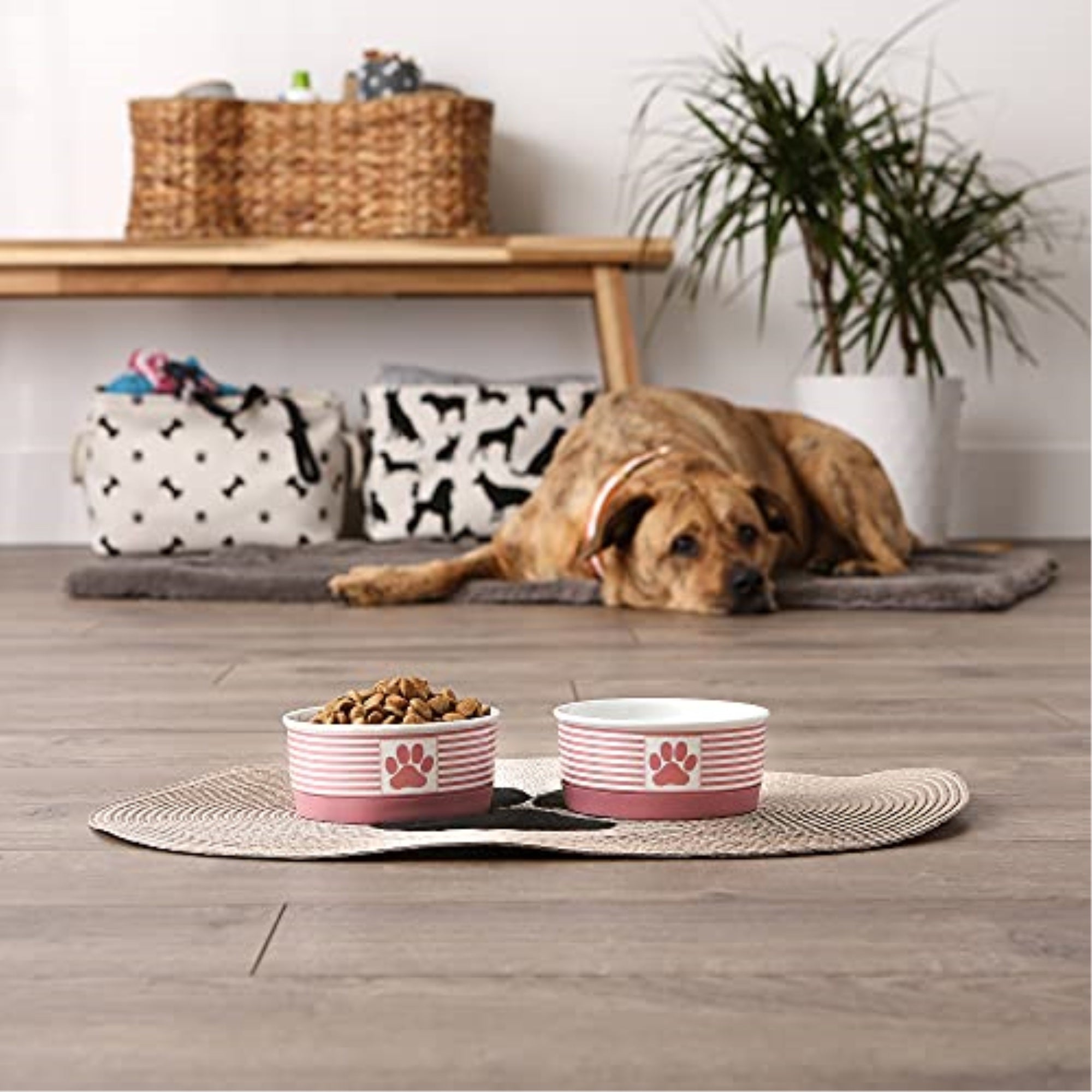 DII Pet Bowl Paw Patch Stripe, Rose, Small 4.25Dx2H (Set of 2)