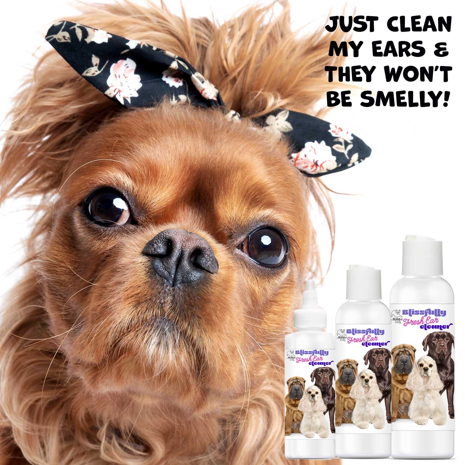 Blissfully Fresh Dog Ear Cleaner