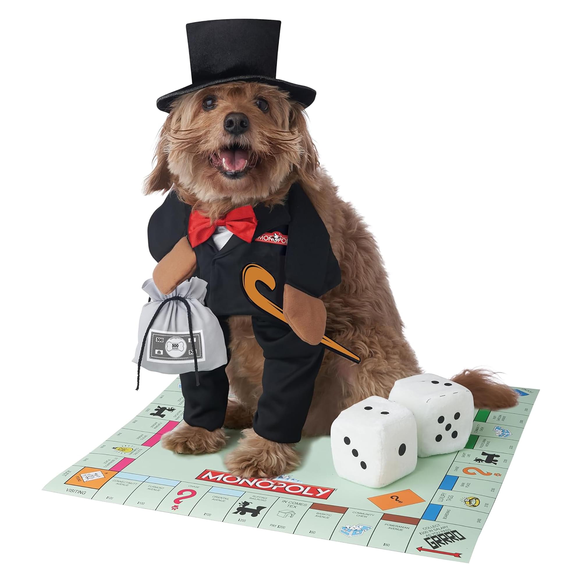 Mr Monopoly Dog costume  Medium
