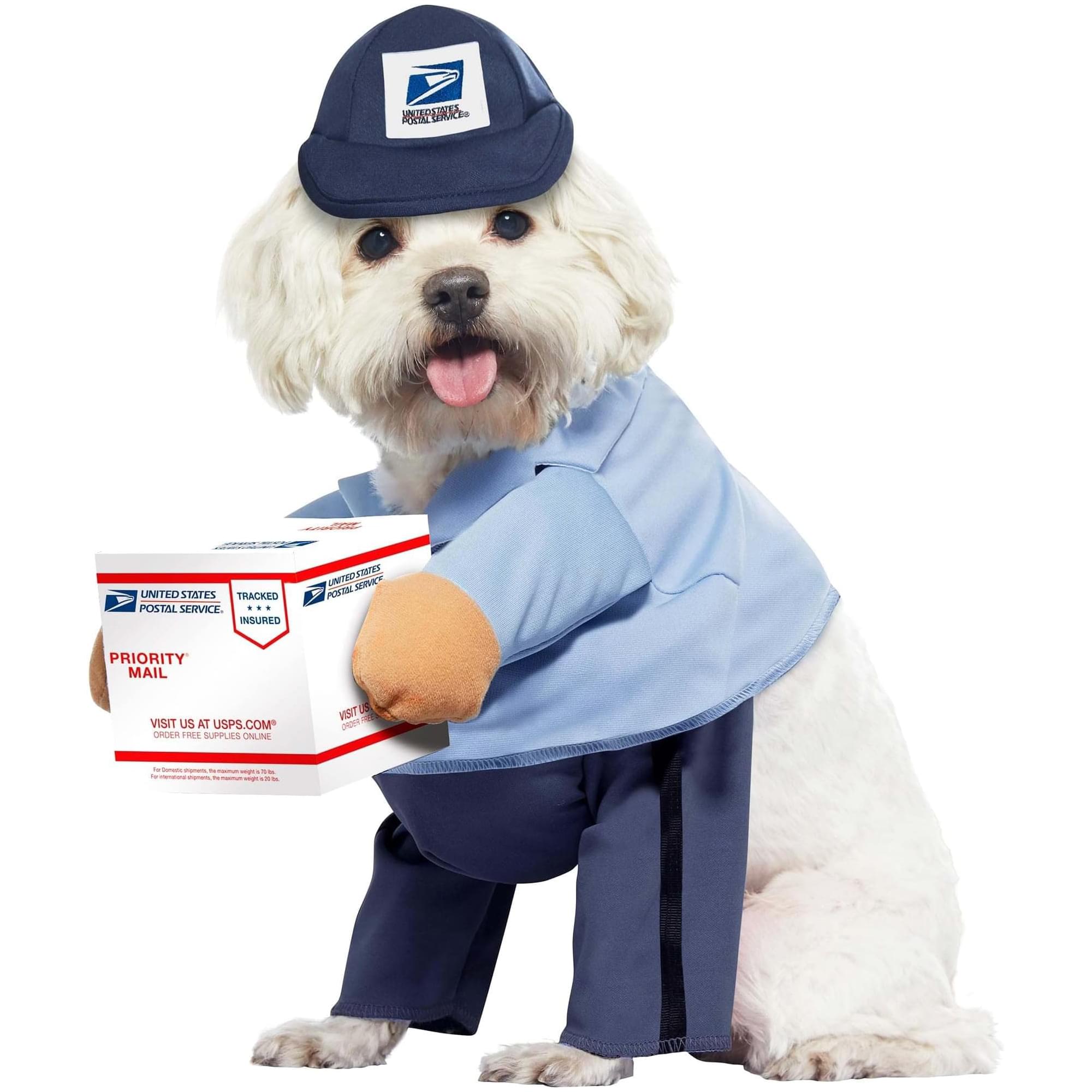 US Mail carrier Pup Dog costume  Large