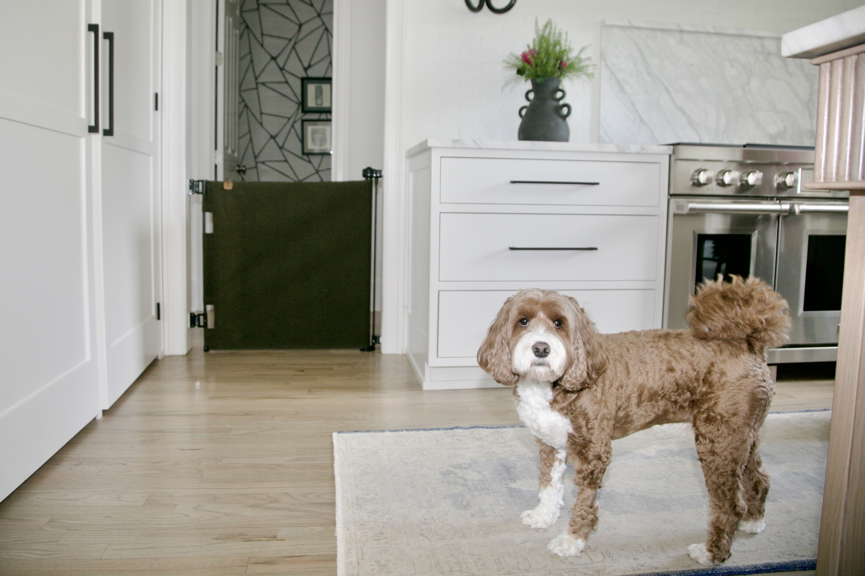 Oil Waxed Canvas Pet Safety Gate – Durable, Waterproof, Vintage-Inspired