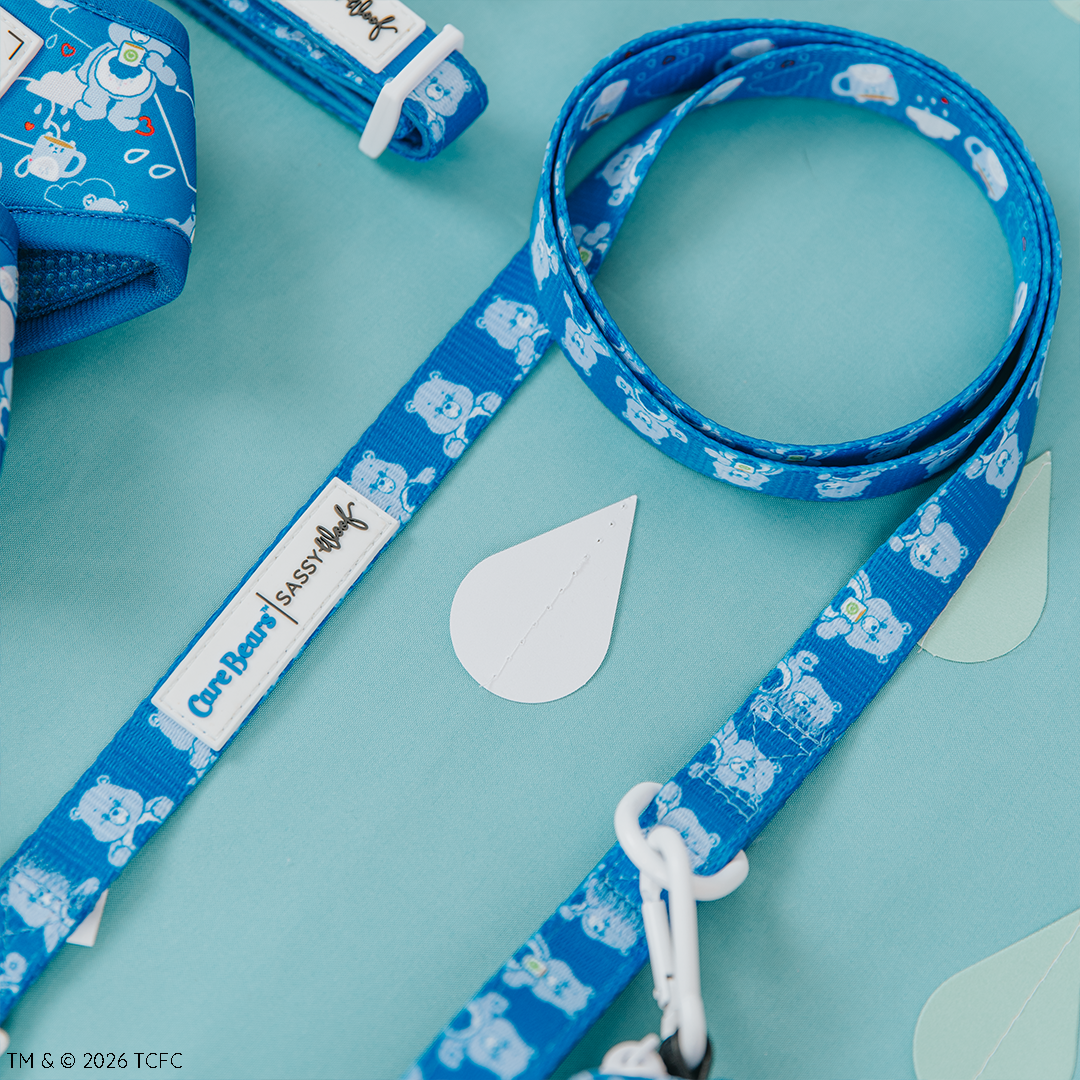 Dog Leash - Care Bears™ Grumpy Bear