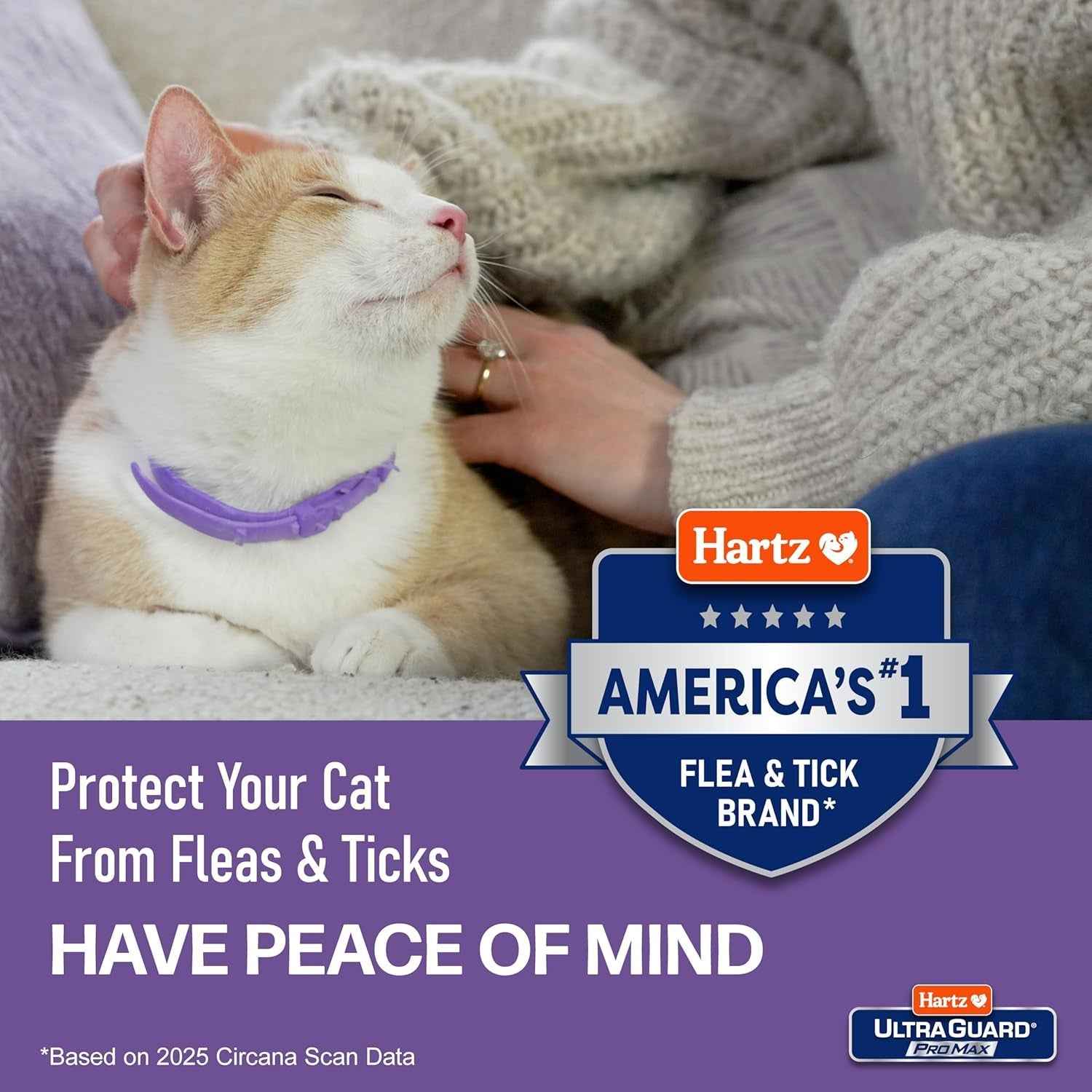 Cat Flea & Tick Collar 2 Pack – 14 Month Breakaway Protection