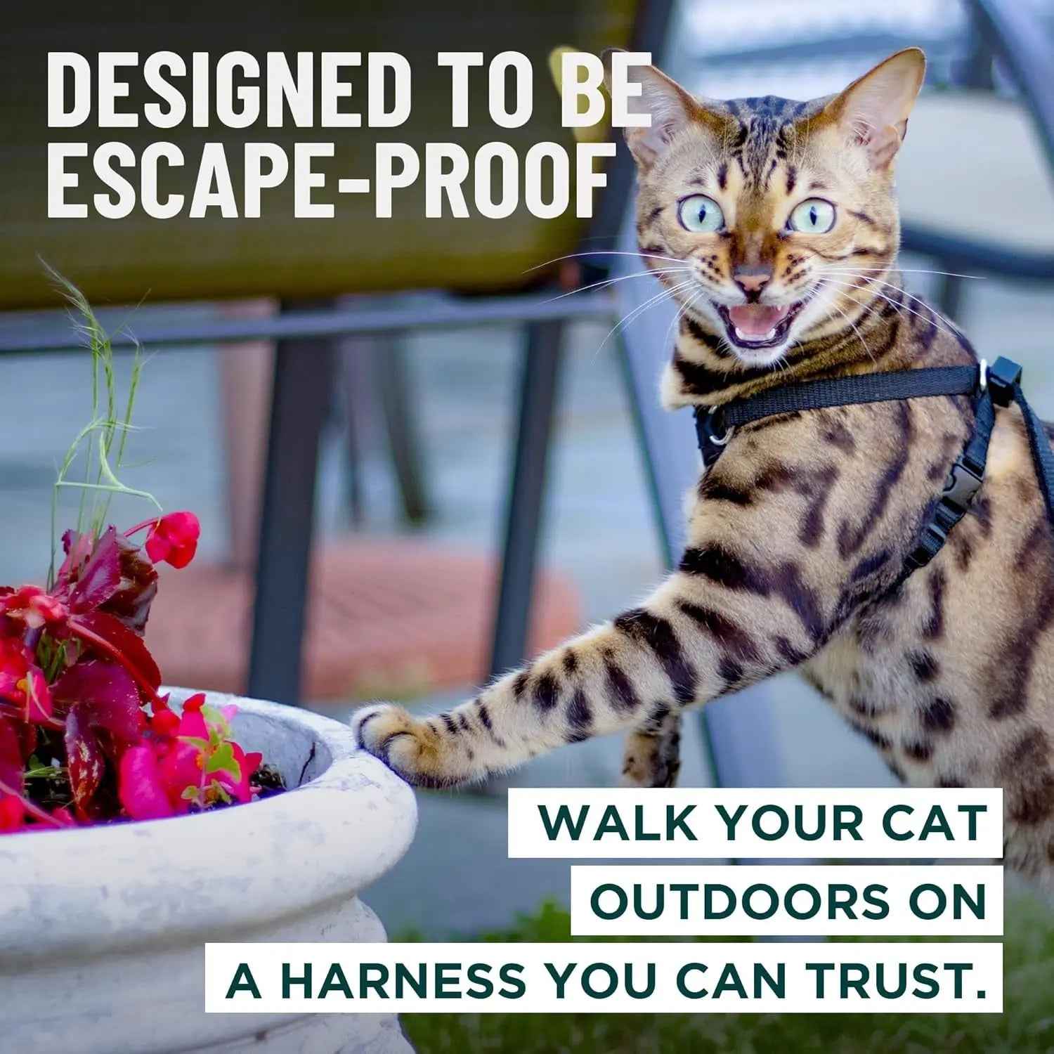 Cat Escape-Proof Harness & Leash Set – S–XL, Vegan Leather