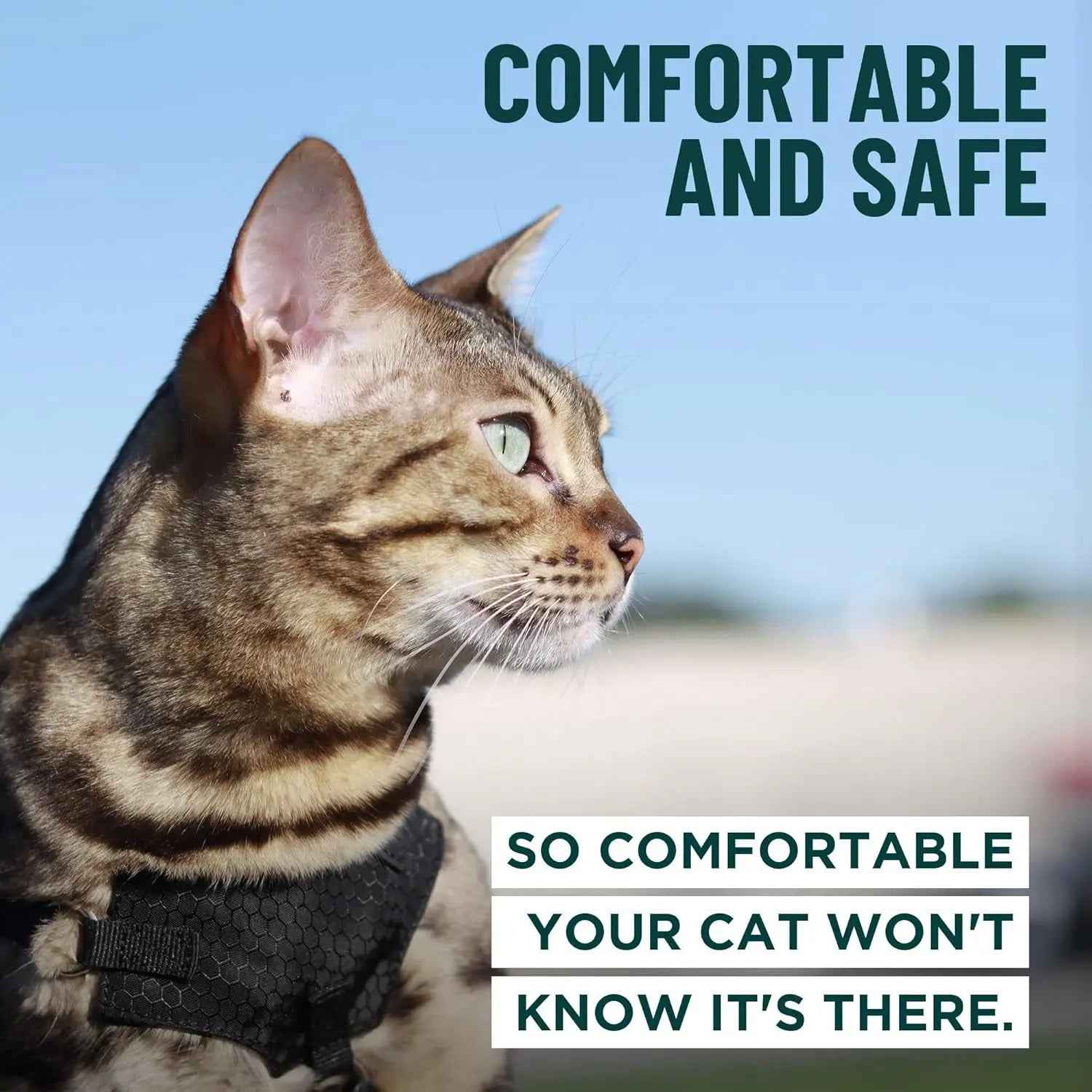 Cat Escape-Proof Harness & Leash Set – S–XL, Vegan Leather