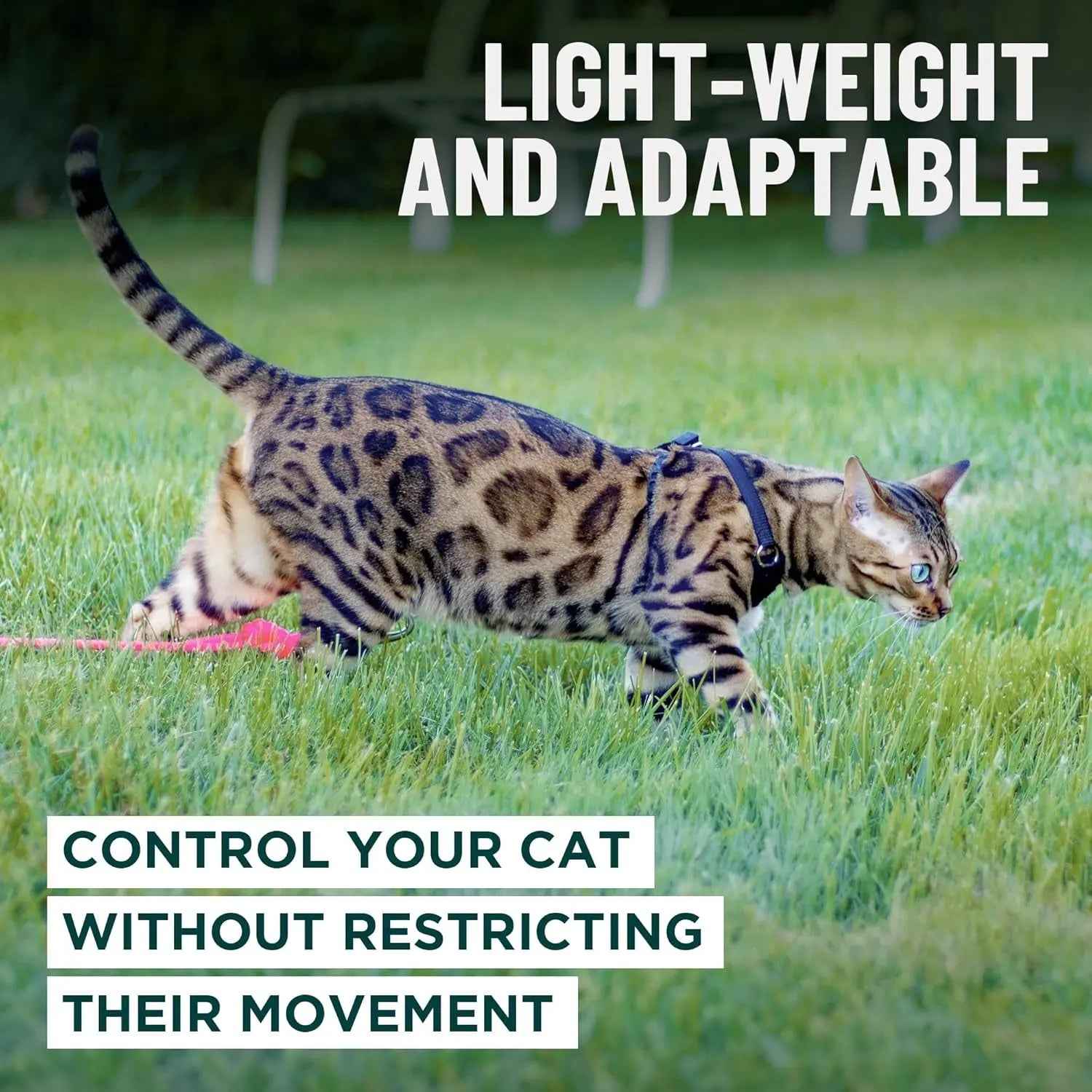 Cat Escape-Proof Harness & Leash Set – S–XL, Vegan Leather
