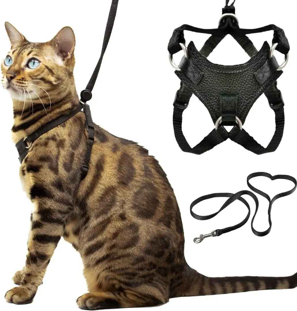 Cat Escape-Proof Harness & Leash Set – S–XL, Vegan Leather