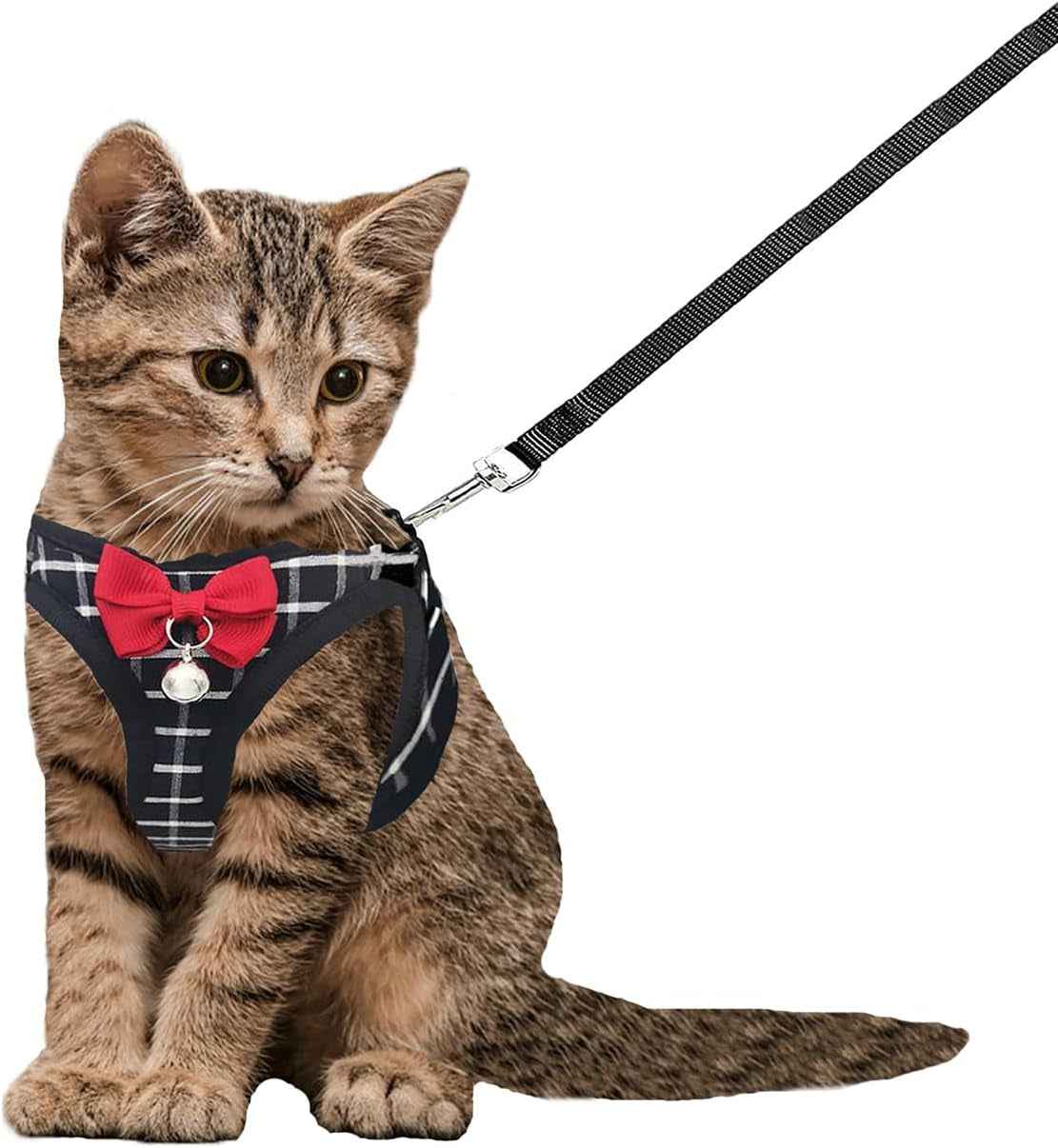 Mesh Cat Harness & Leash Set with Buckle & Metal Ring – Cats & Rabbits