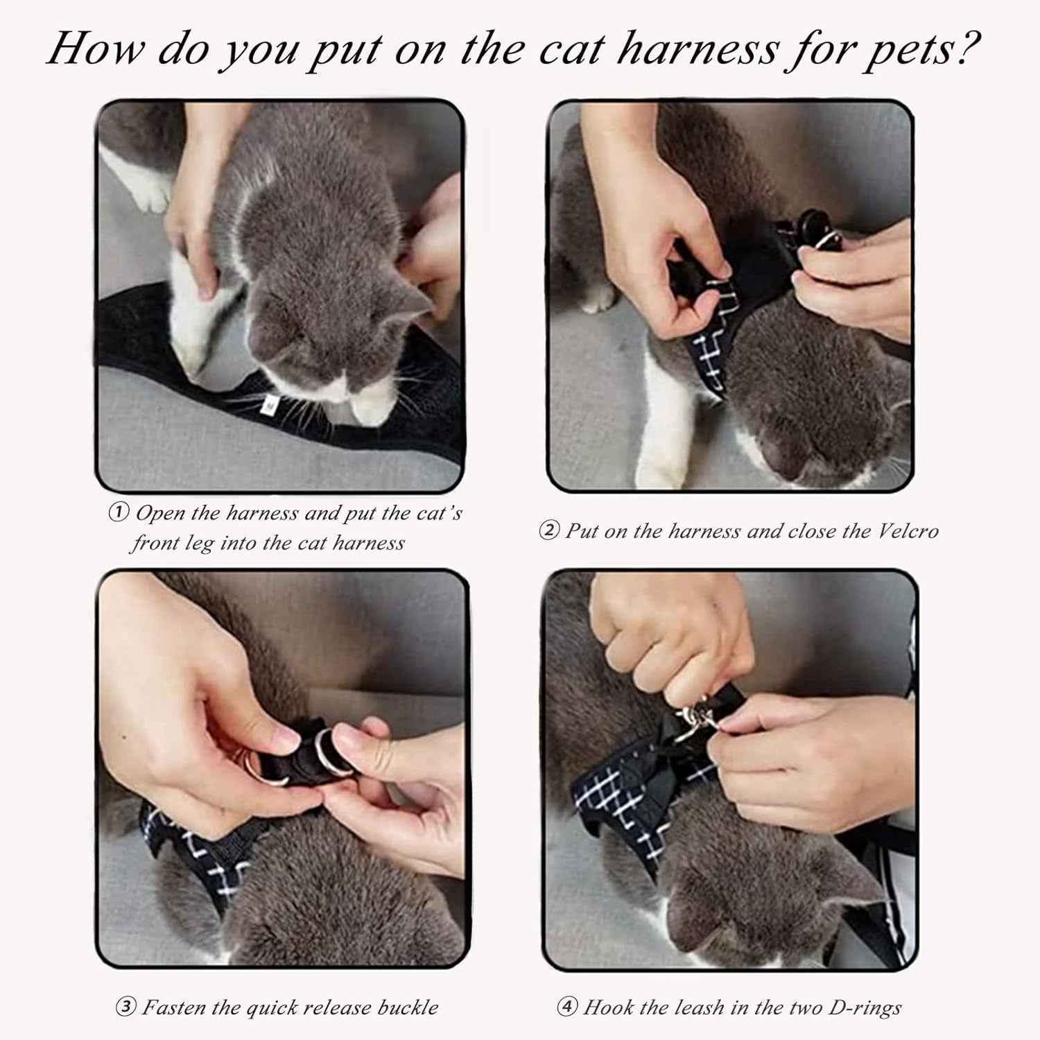 Mesh Cat Harness & Leash Set with Buckle & Metal Ring – Cats & Rabbits