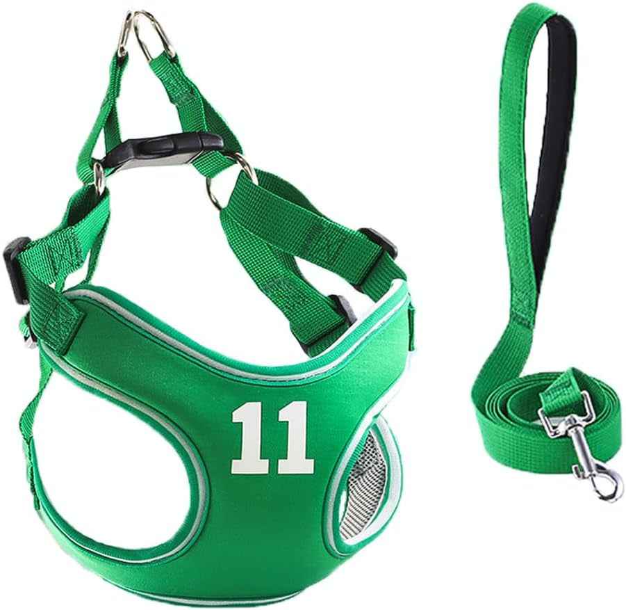 Mesh Cat Harness & Leash Set with Buckle & Metal Ring – Cats & Rabbits