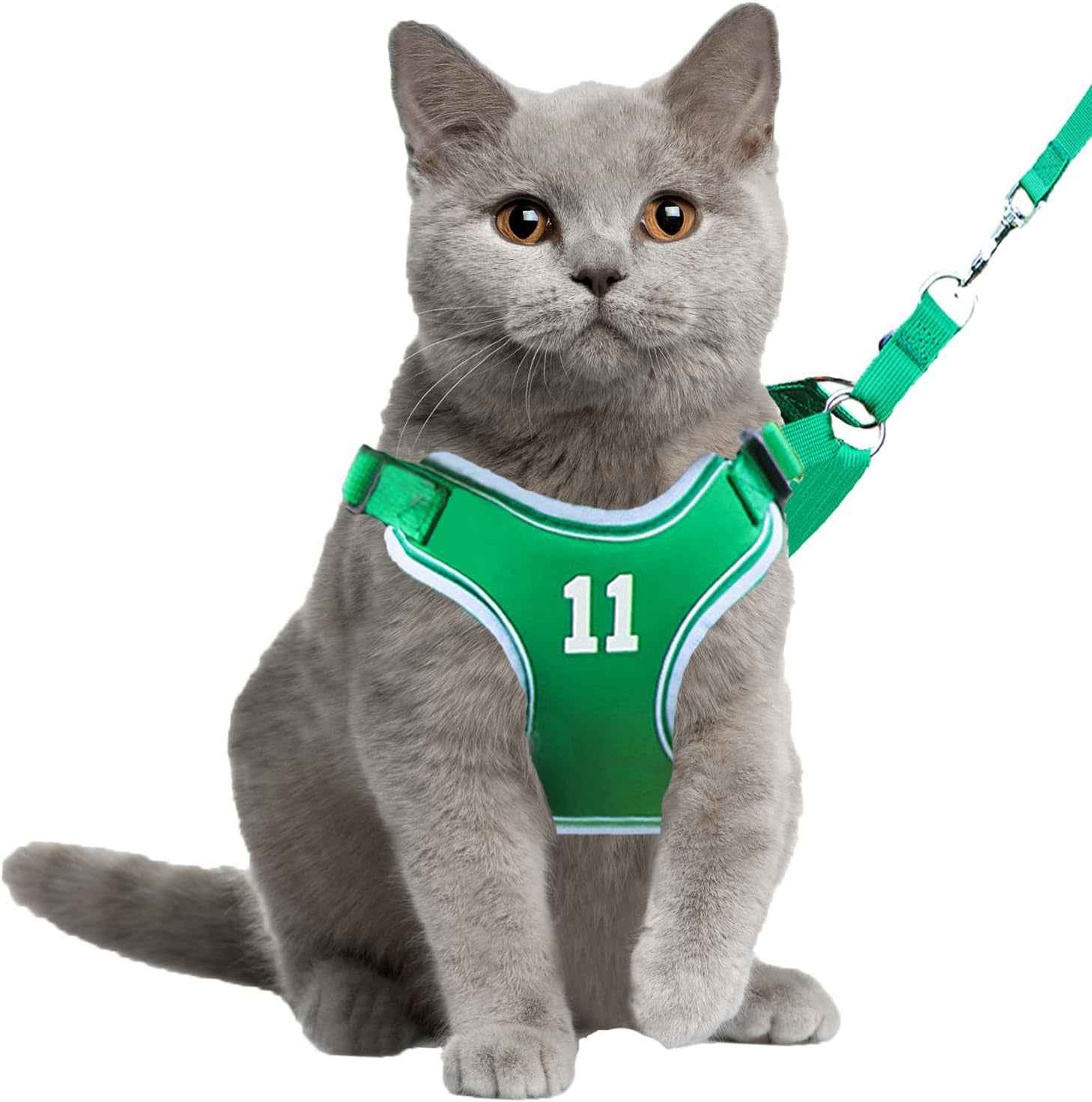 Mesh Cat Harness & Leash Set with Buckle & Metal Ring – Cats & Rabbits
