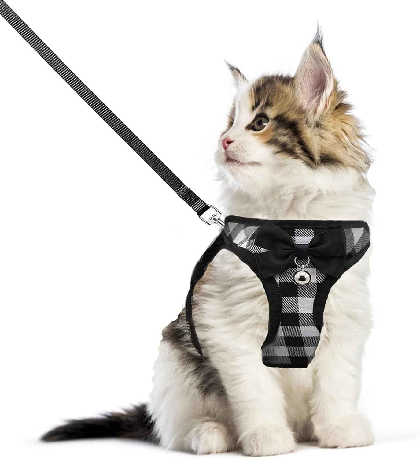 Mesh Cat Harness & Leash Set with Buckle & Metal Ring – Cats & Rabbits