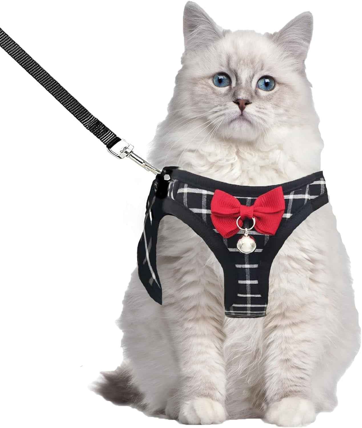 Mesh Cat Harness & Leash Set with Buckle & Metal Ring – Cats & Rabbits