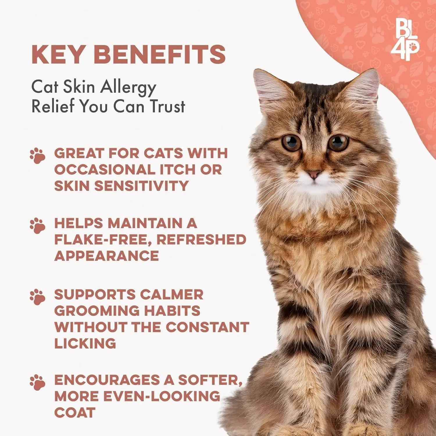 Cat Itchy Skin & Coat Supplement for Shedding