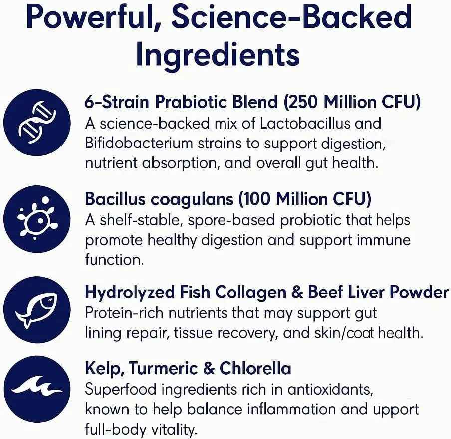Cat Probiotic Drops – Digestive Support