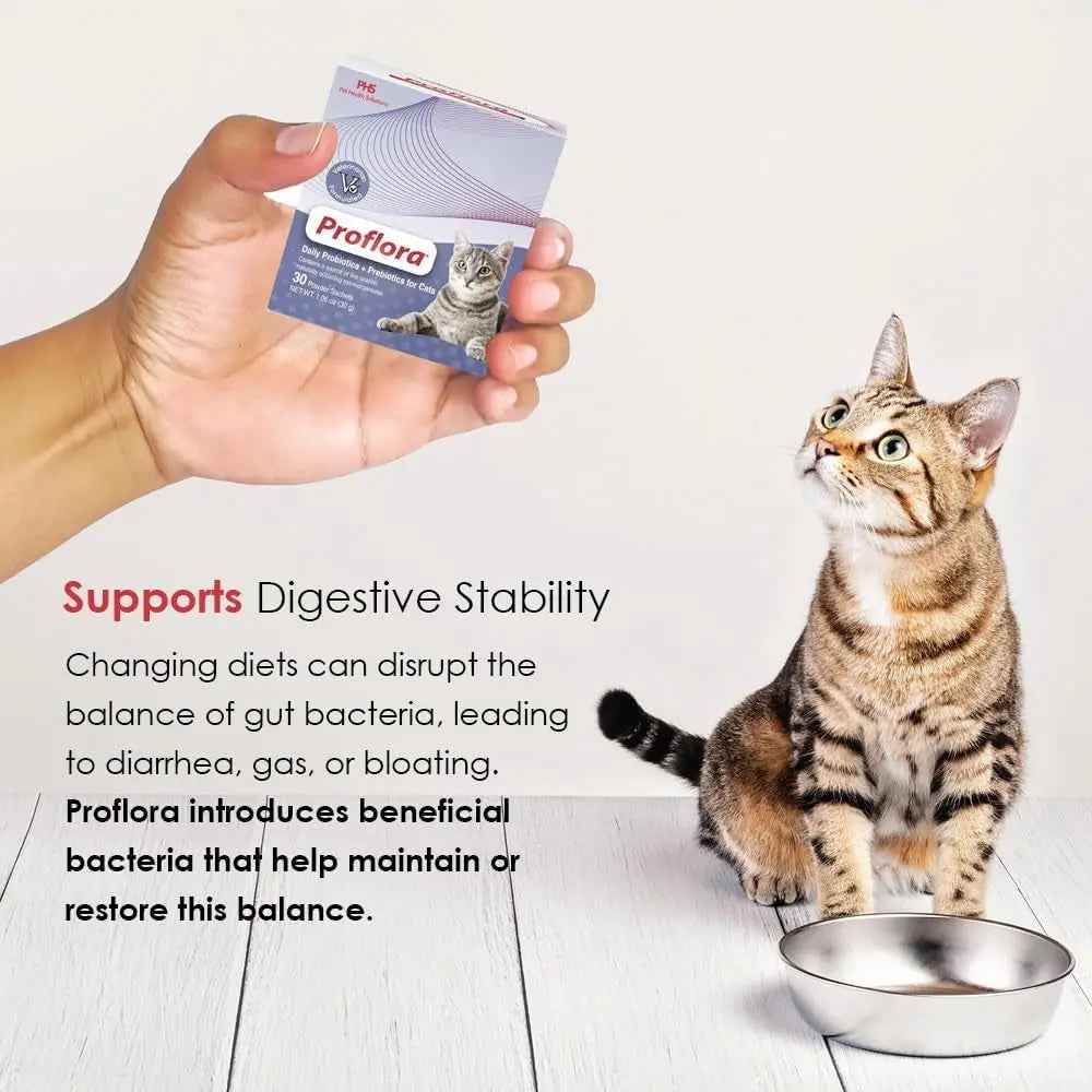 Cat Probiotics Powder Digestive & Immune Support 30 Packets
